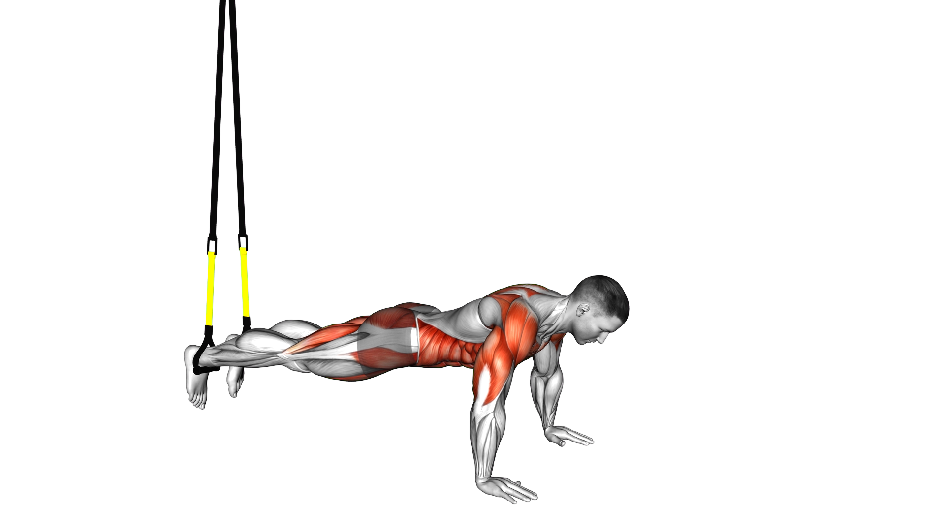 Suspender Push Up to Side Plank exercise demonstration