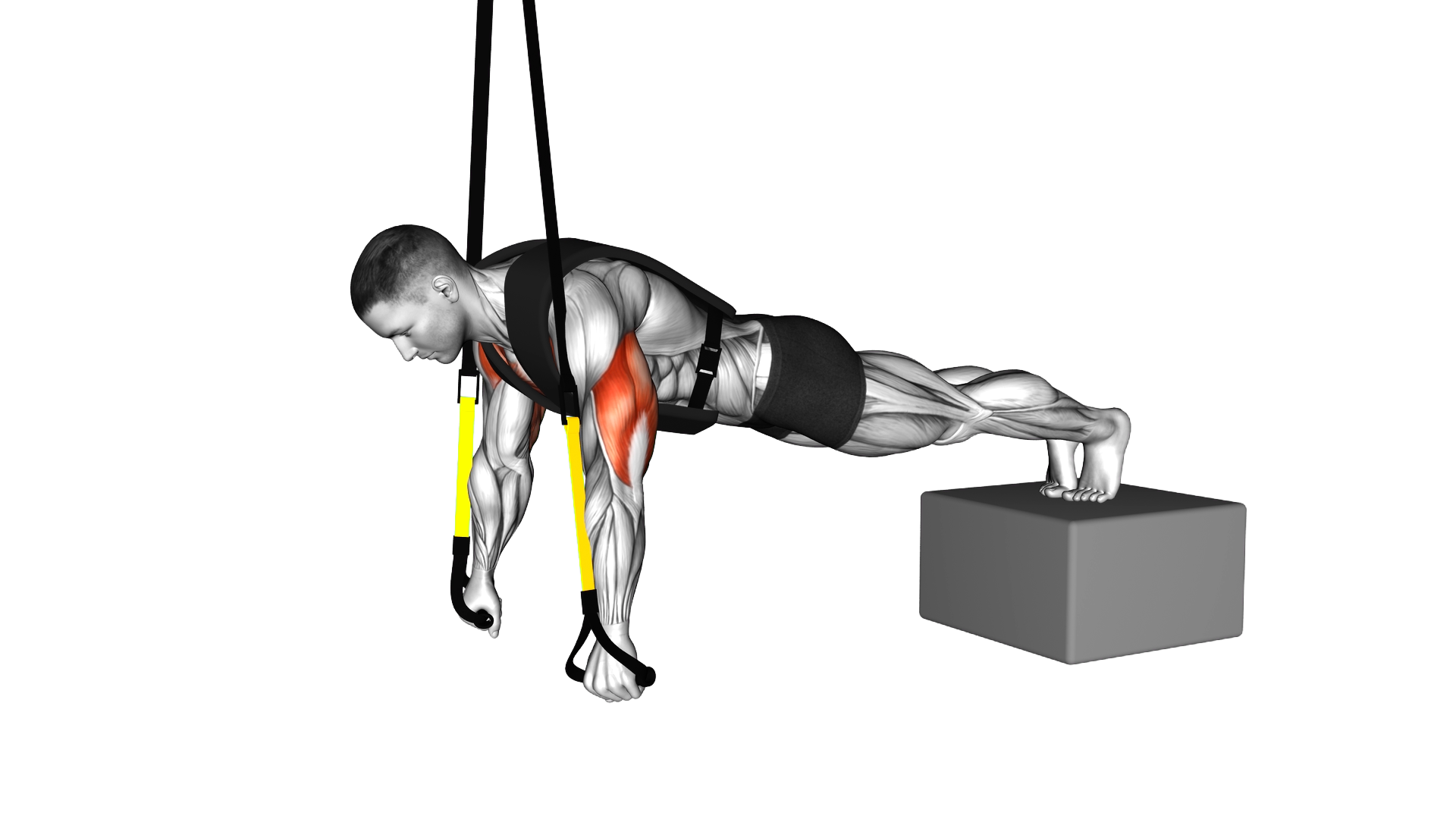 Suspender Weighted Vest Decline Push up exercise demonstration