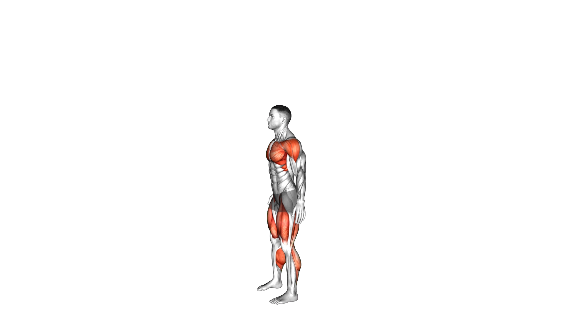 Countermovement Jump Arms Pull exercise demonstration