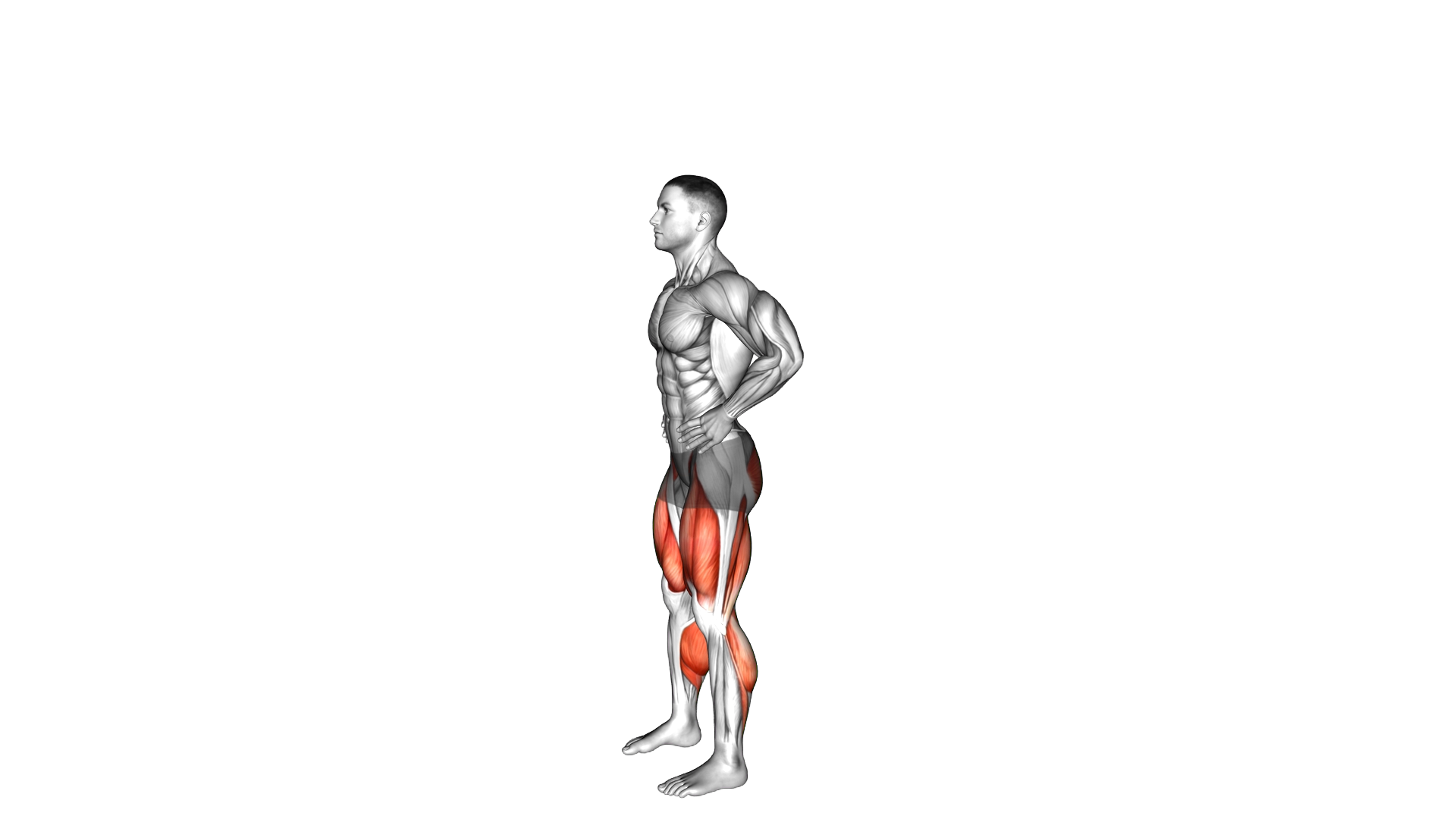 Countermovement Jump Arms on Hip exercise demonstration