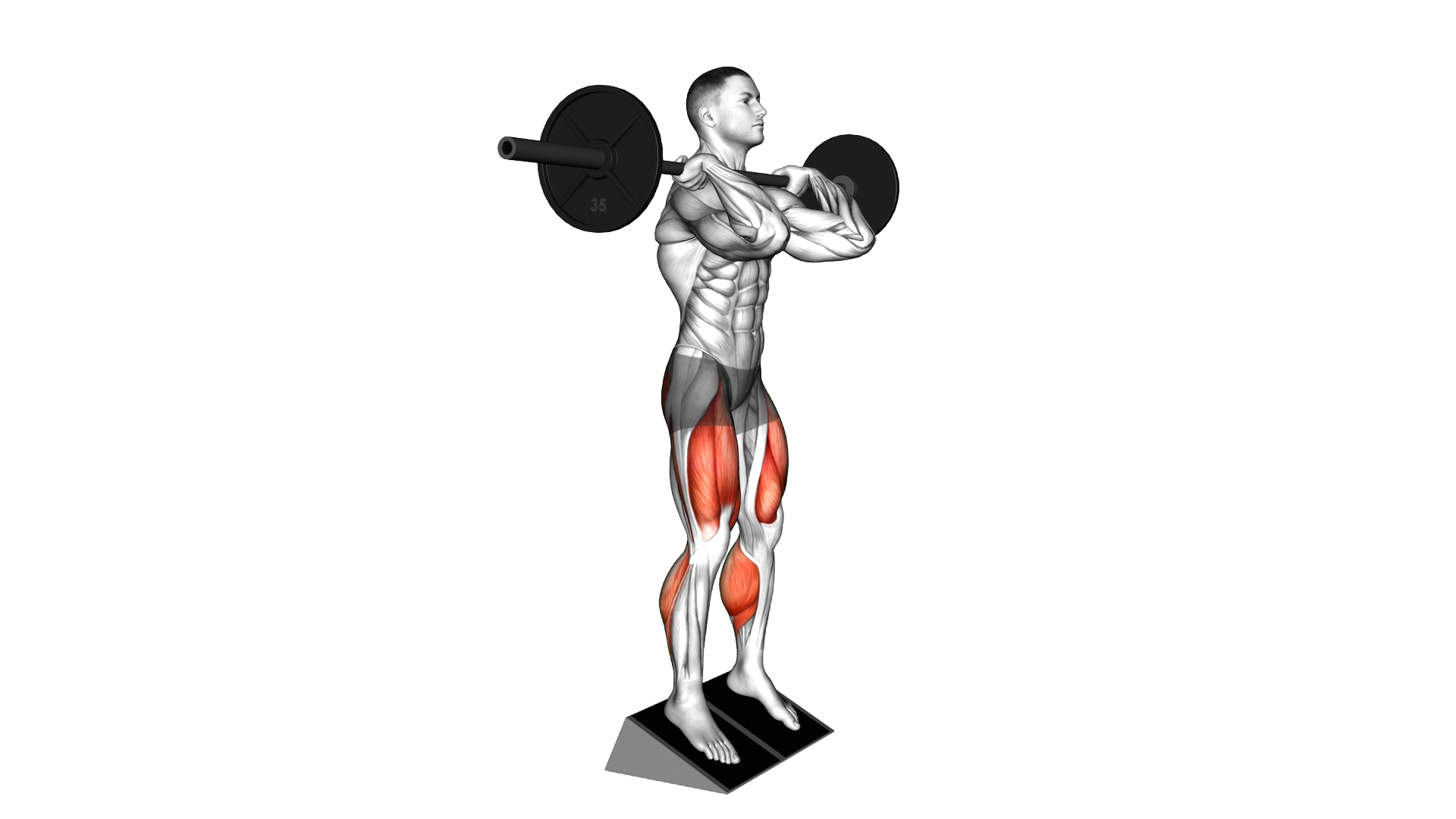 Barbell Elevated Heel Clean Grip Squat exercise demonstration