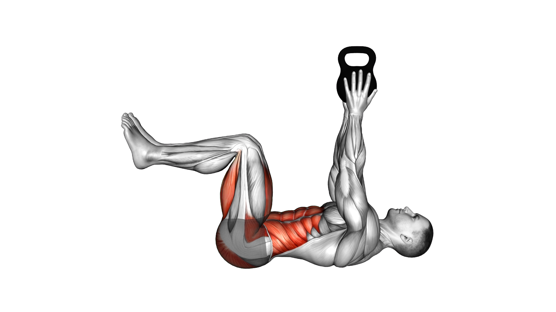Weighted Kettlebell Dead Bug exercise demonstration