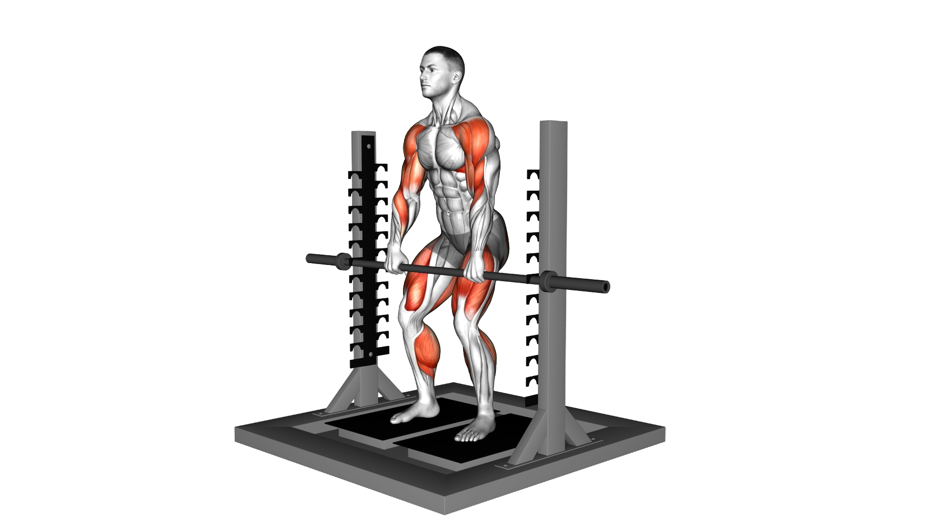 Isometric Mid Thighs Pull exercise demonstration