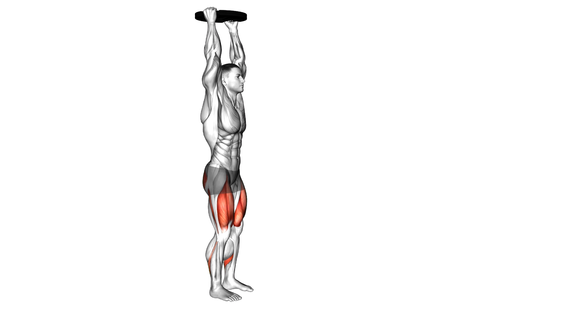 Weighted Plate Overhead Forward Lunge exercise demonstration