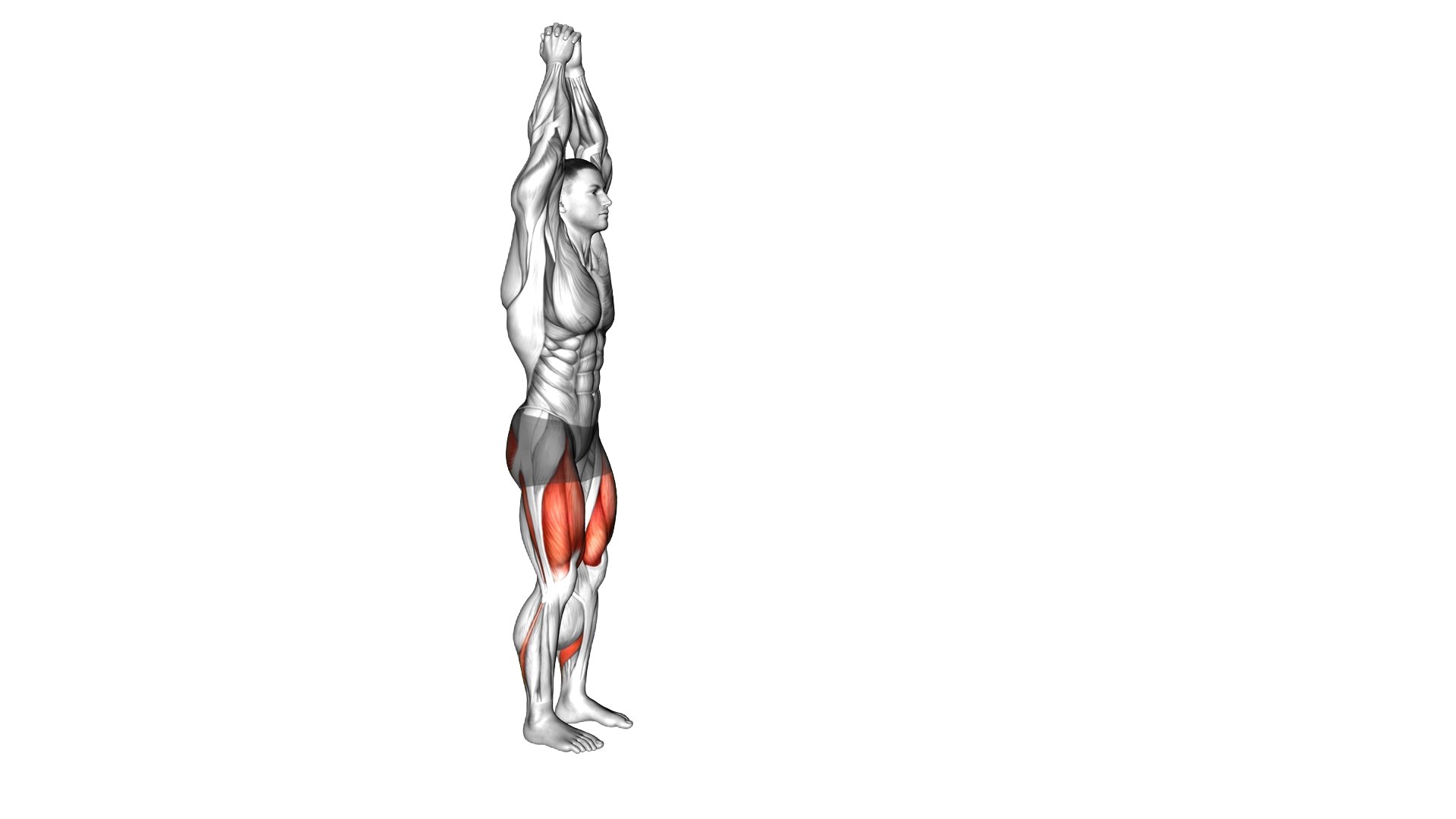 Bodyweight Overhead Forward Lunge exercise demonstration