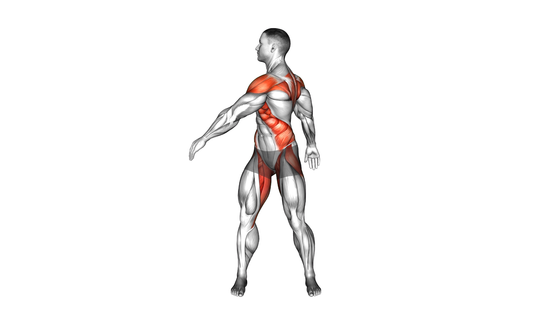 Standing Torso Twist Arms Swing exercise demonstration