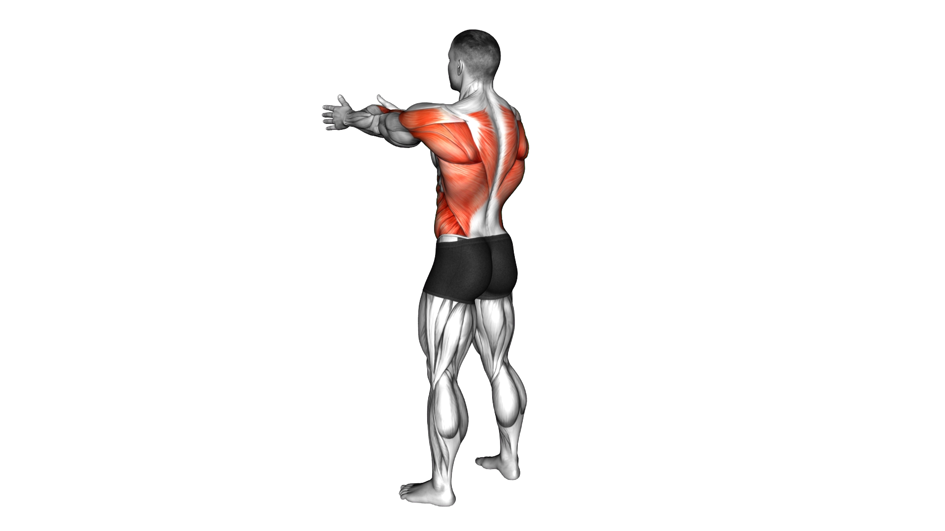 Standing Archer Alternate Arm Row exercise demonstration
