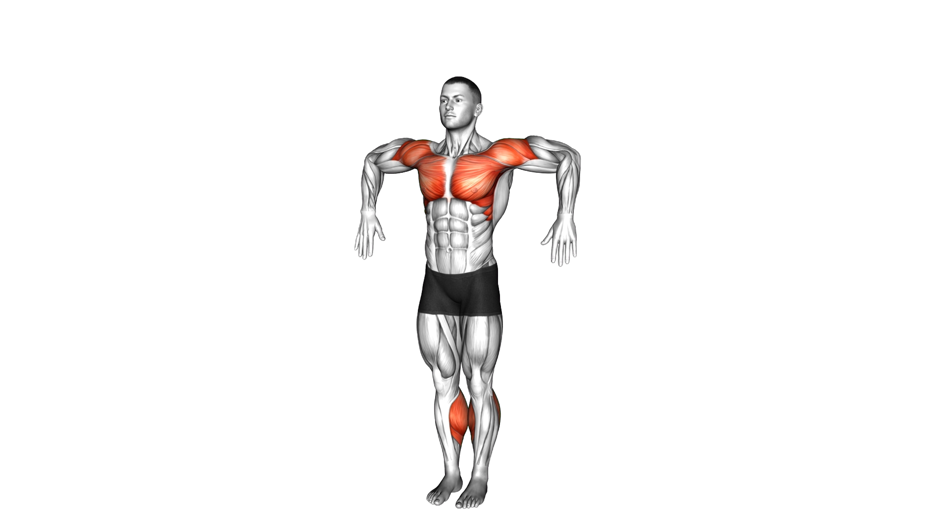 Calf Raise Internal External Arms Rotation exercise demonstration