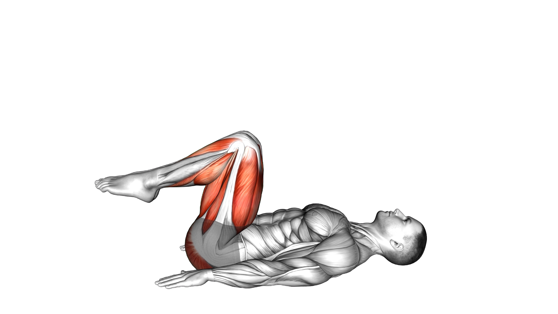 Lying Legs Extension Toes Flexion exercise demonstration