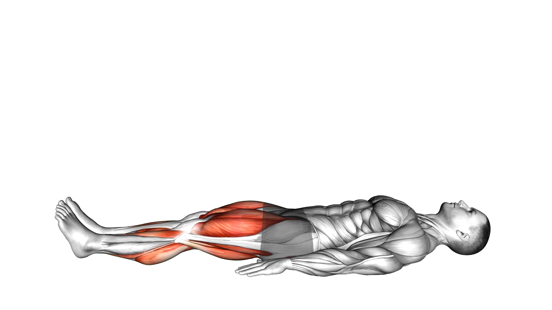 Lying Alternating Legs Extension exercise demonstration