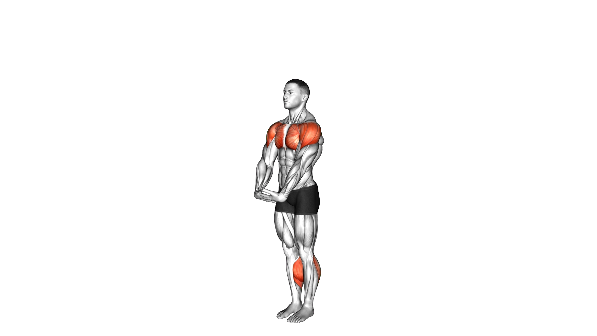 Standing Calf Raise with Arms Circle exercise demonstration