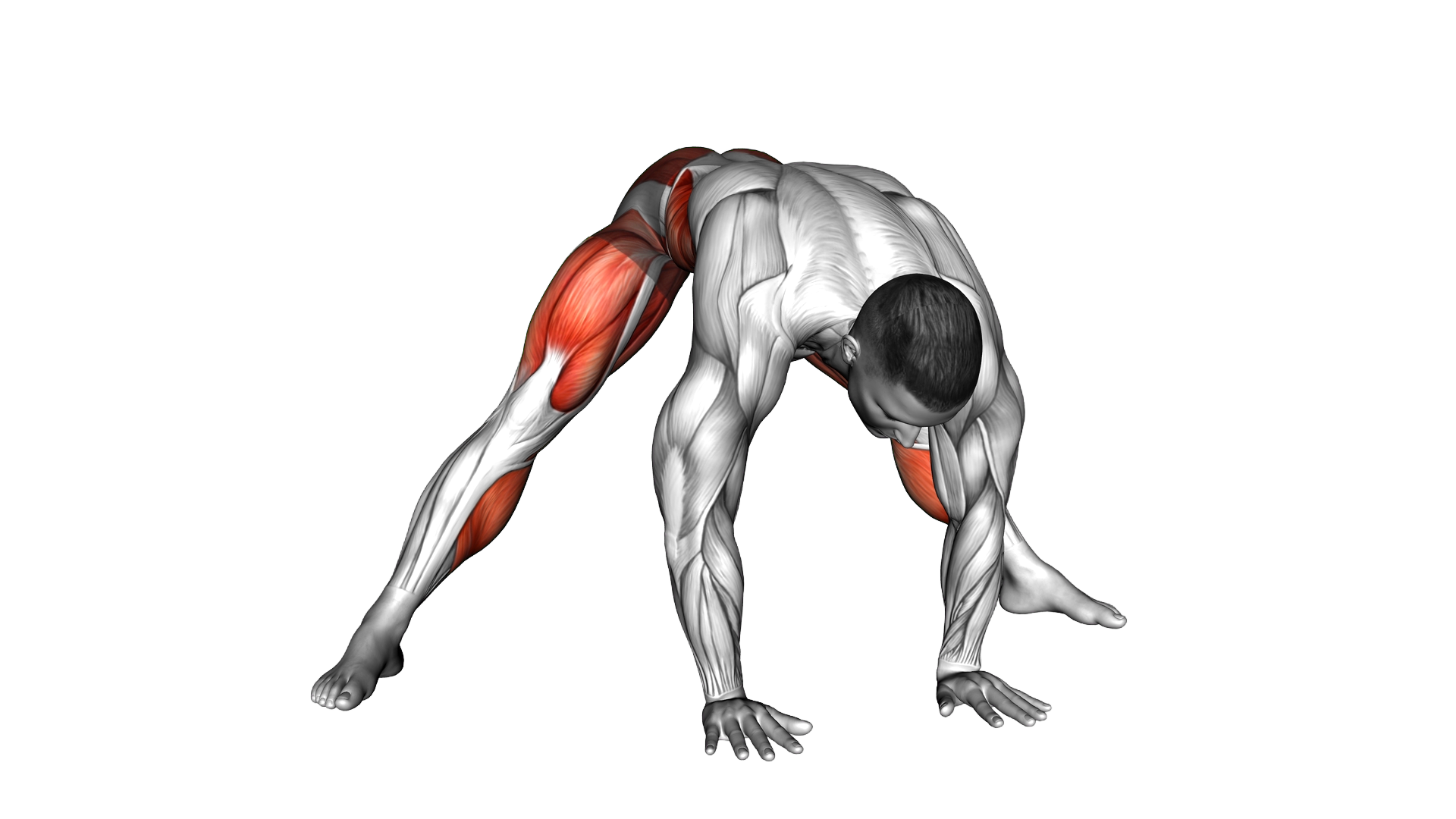 Leaning Forward Side Lunge exercise demonstration