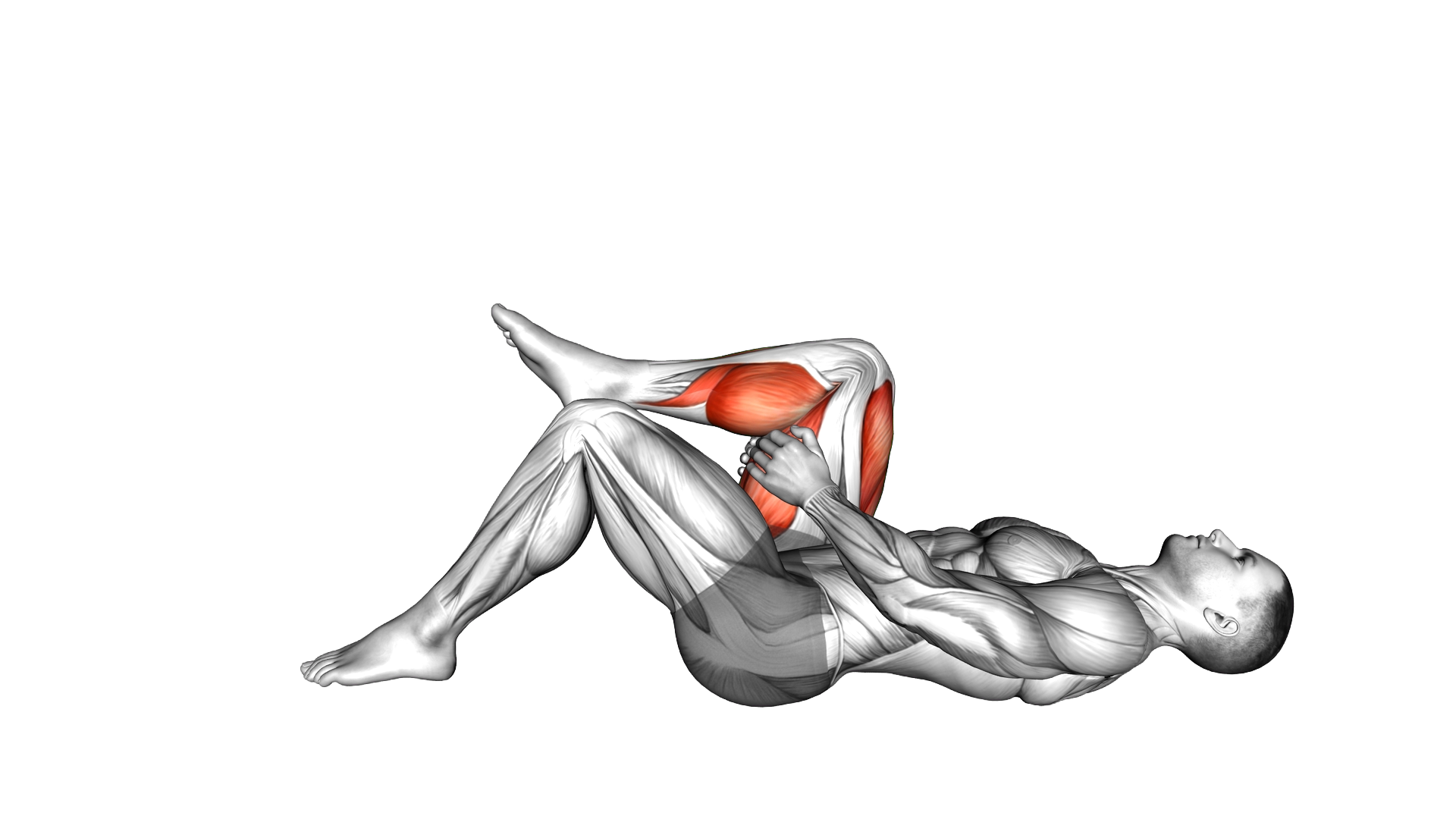 Lying Single Leg Extension exercise demonstration