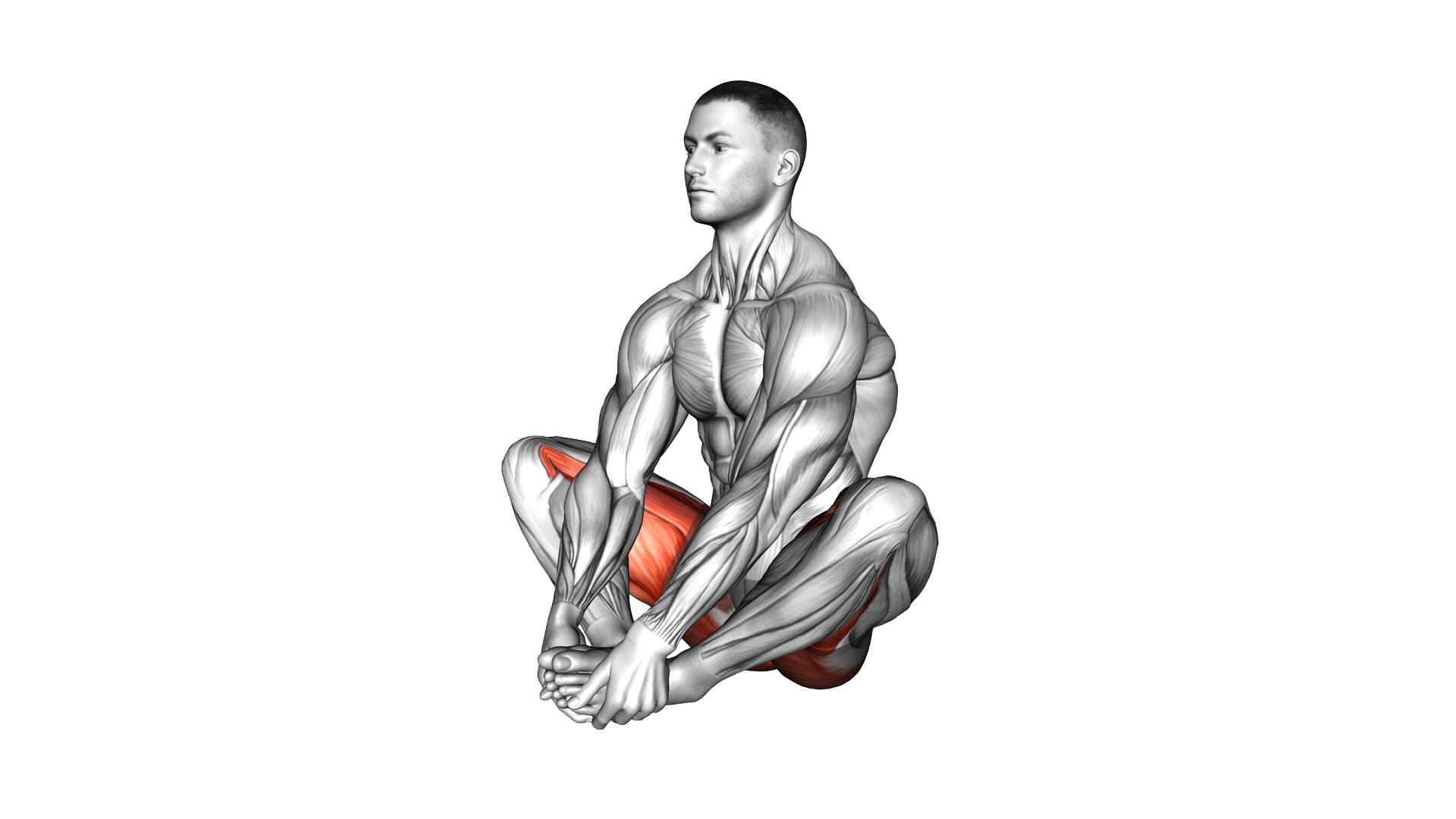 Butterfly Forward Leaning exercise demonstration