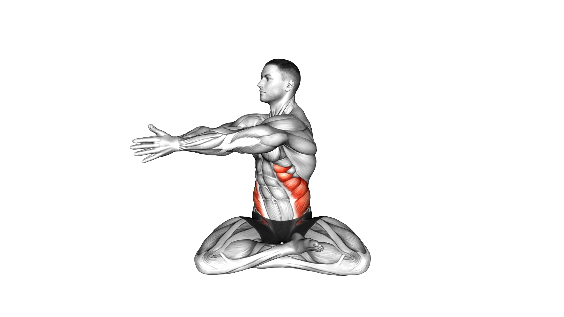 Sitting Abs Twist exercise demonstration
