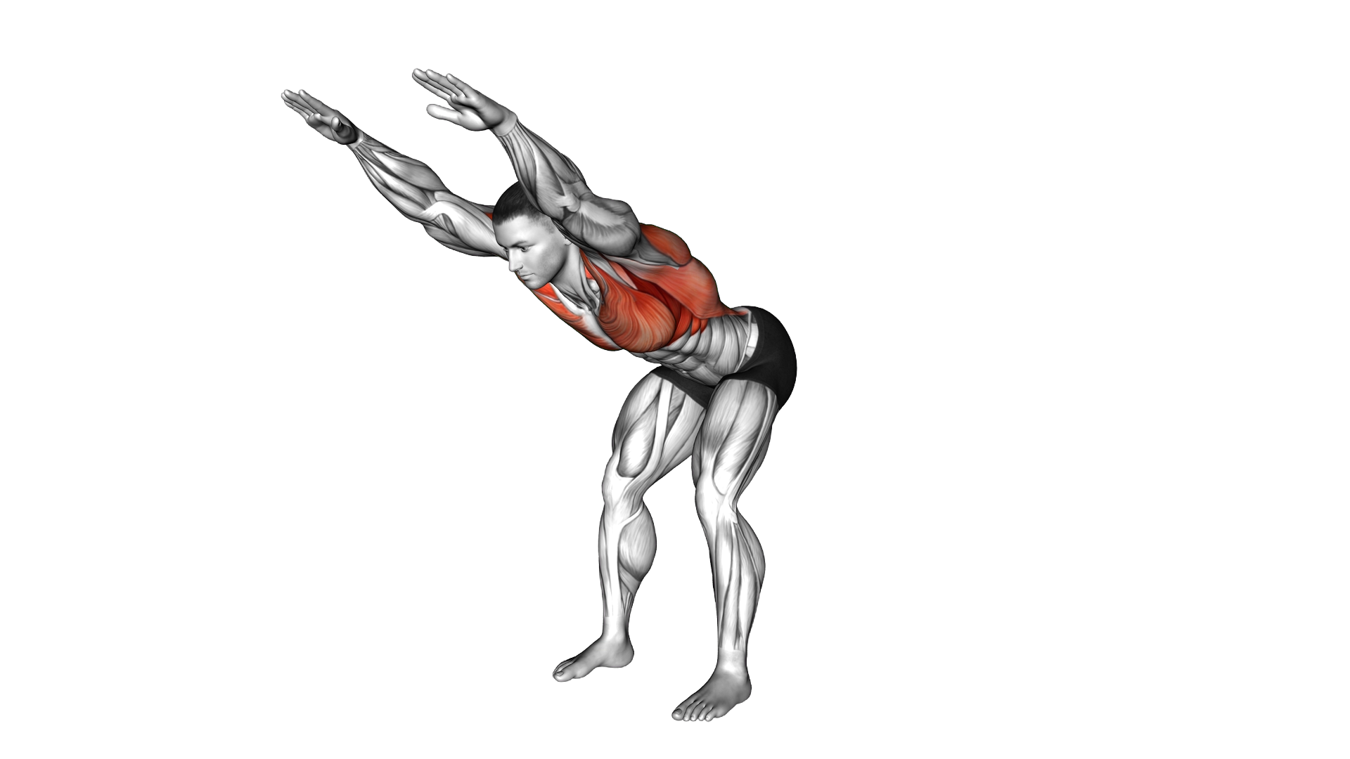 Stationary Arms Throw exercise demonstration
