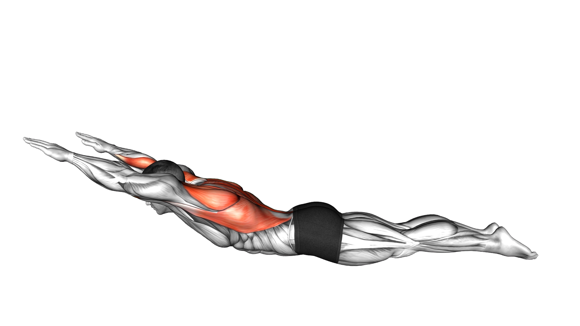 Lying Upper Body Superman Row exercise demonstration
