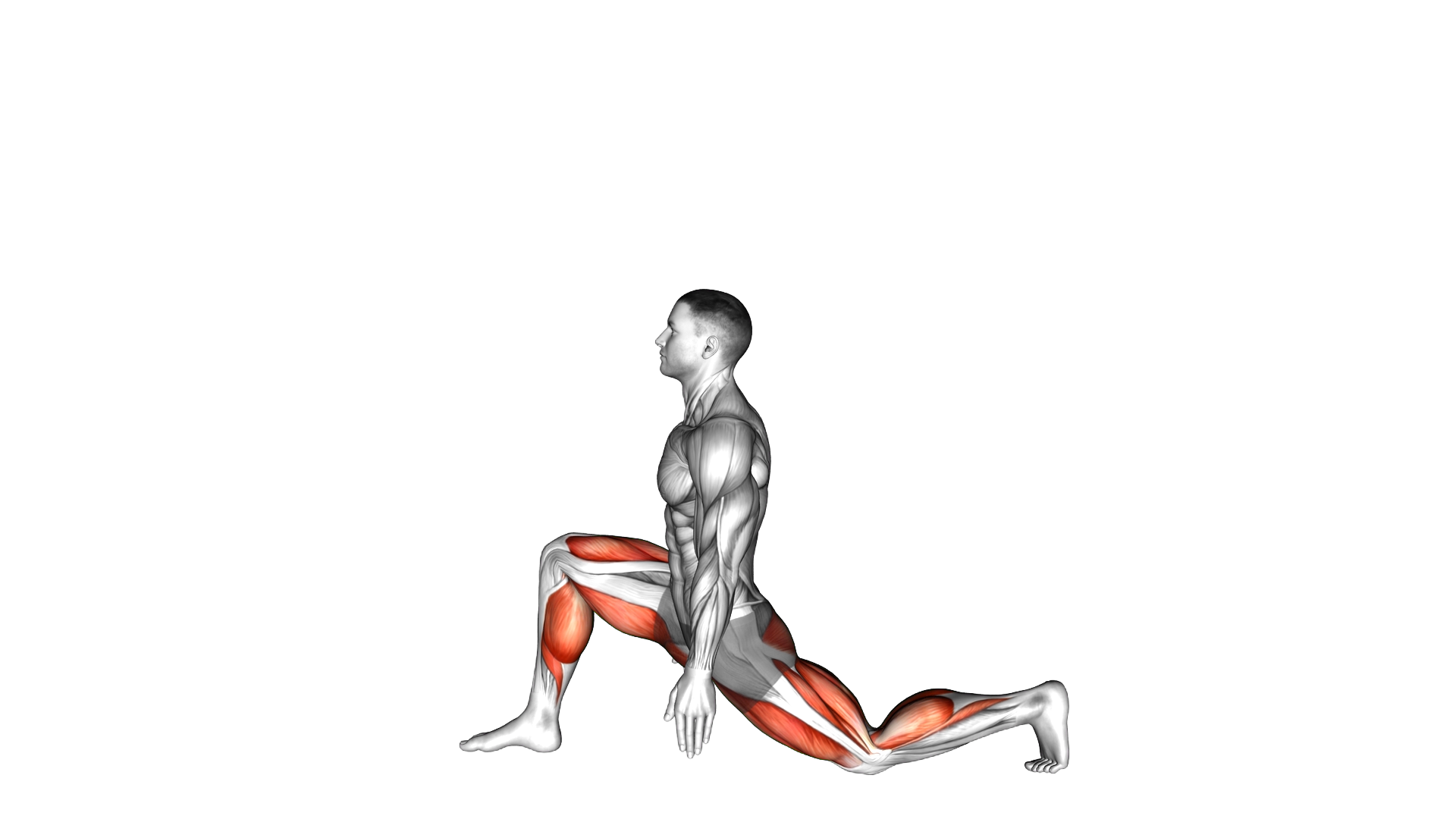 Low to High Lunge Pose exercise demonstration
