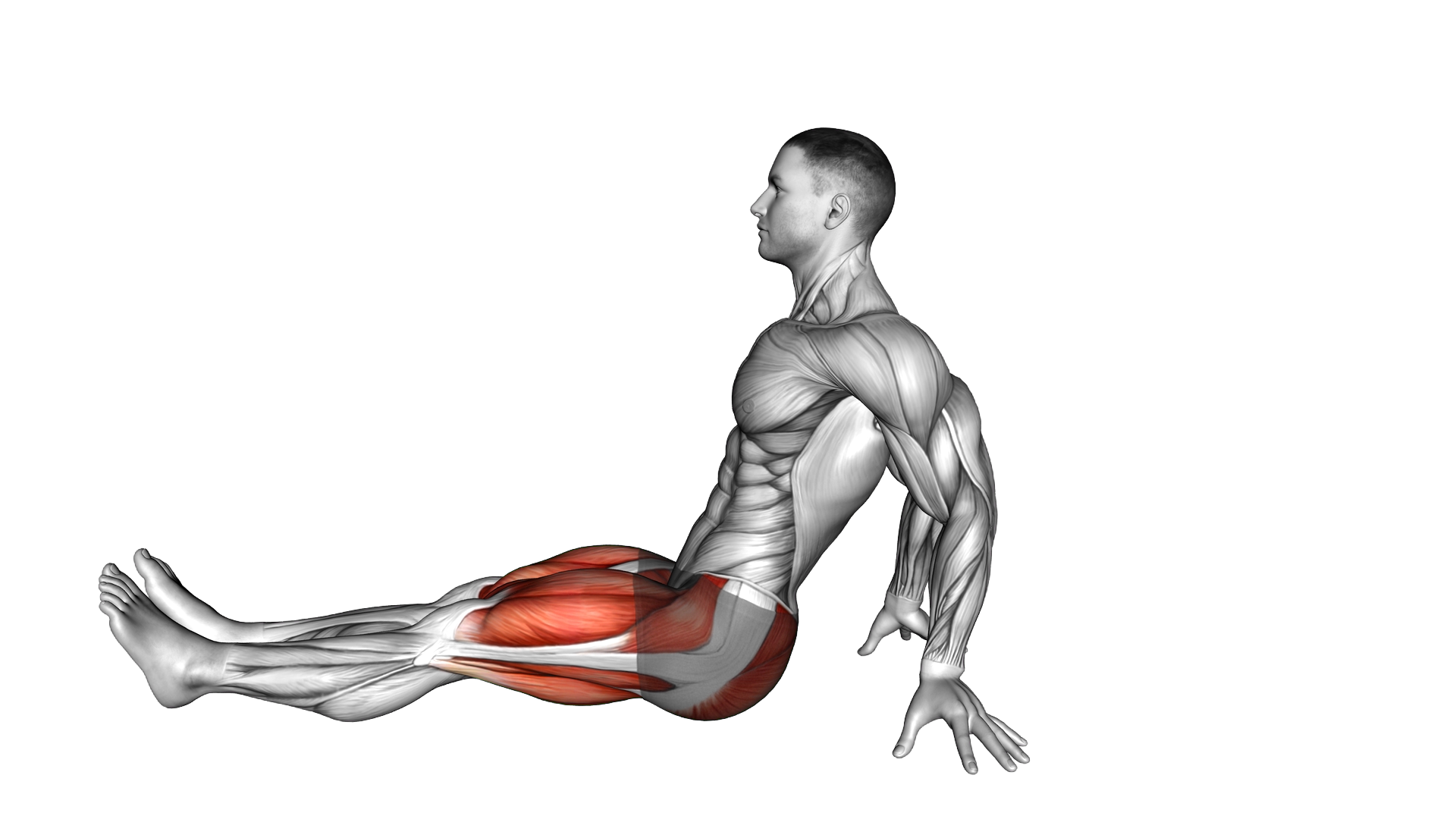 Sitting Legs Extended to Butterfly Stretch exercise demonstration