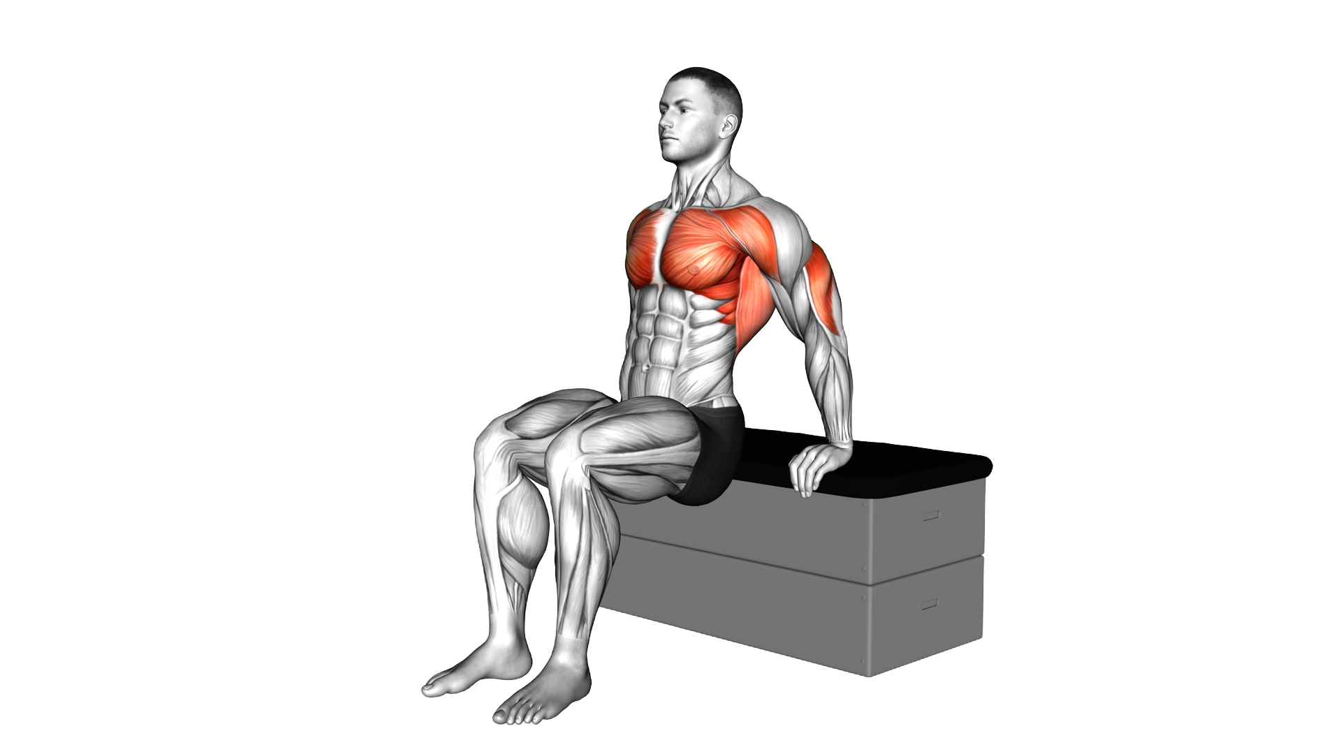 Dip a padded stool Supported exercise thumbnail