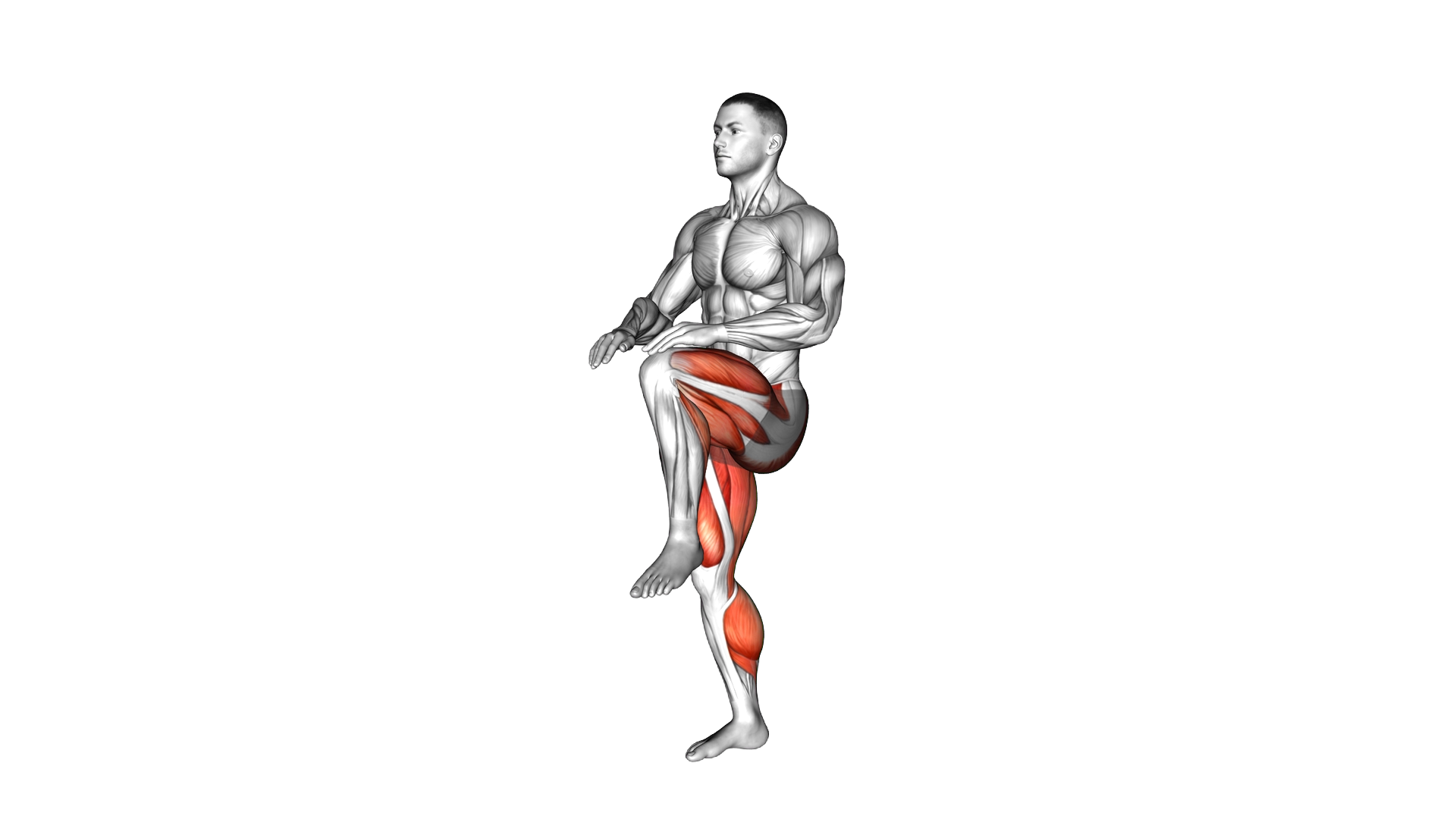 Hopping High Knee Tap exercise demonstration