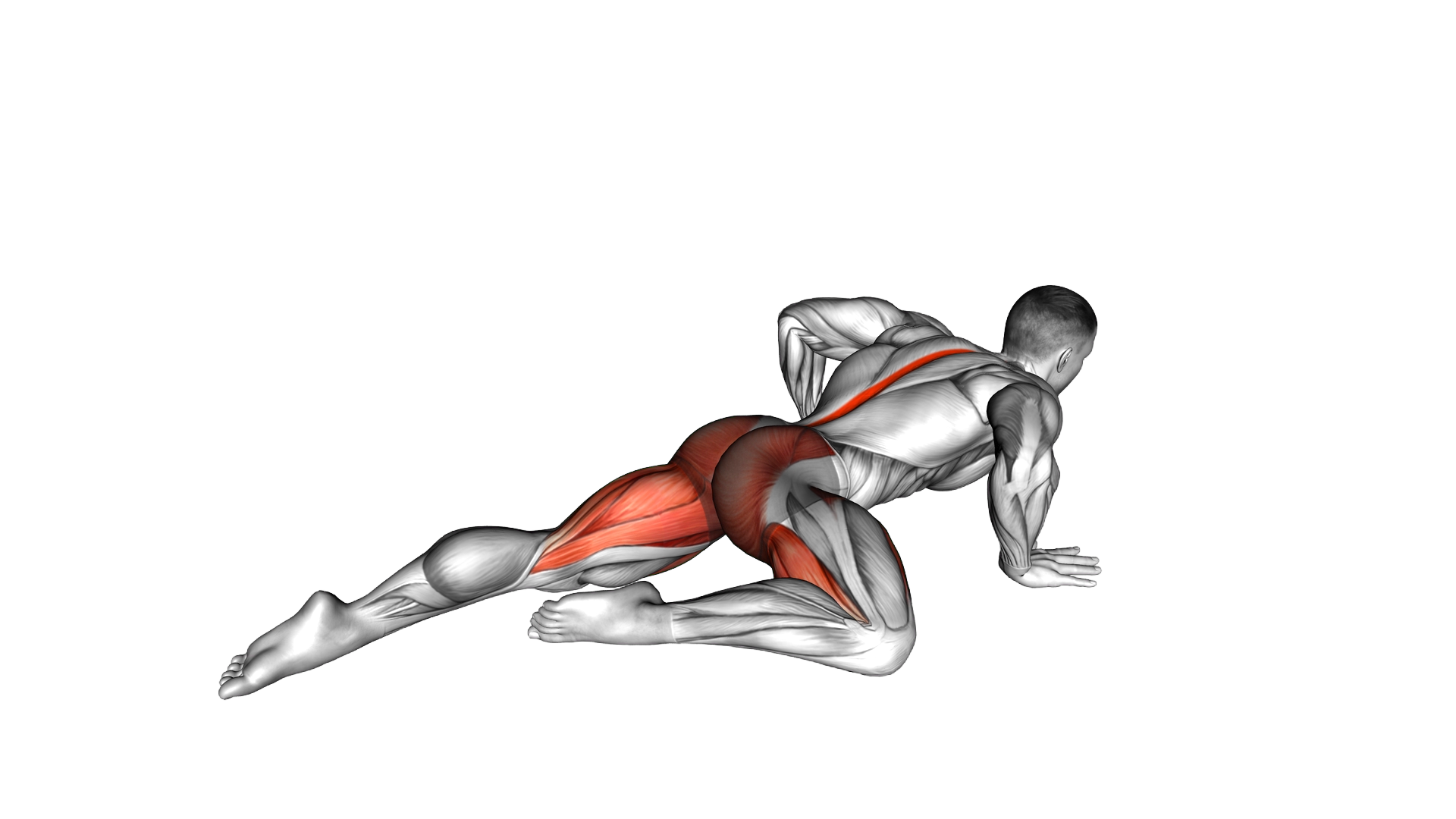 Half Frog Stretch exercise demonstration