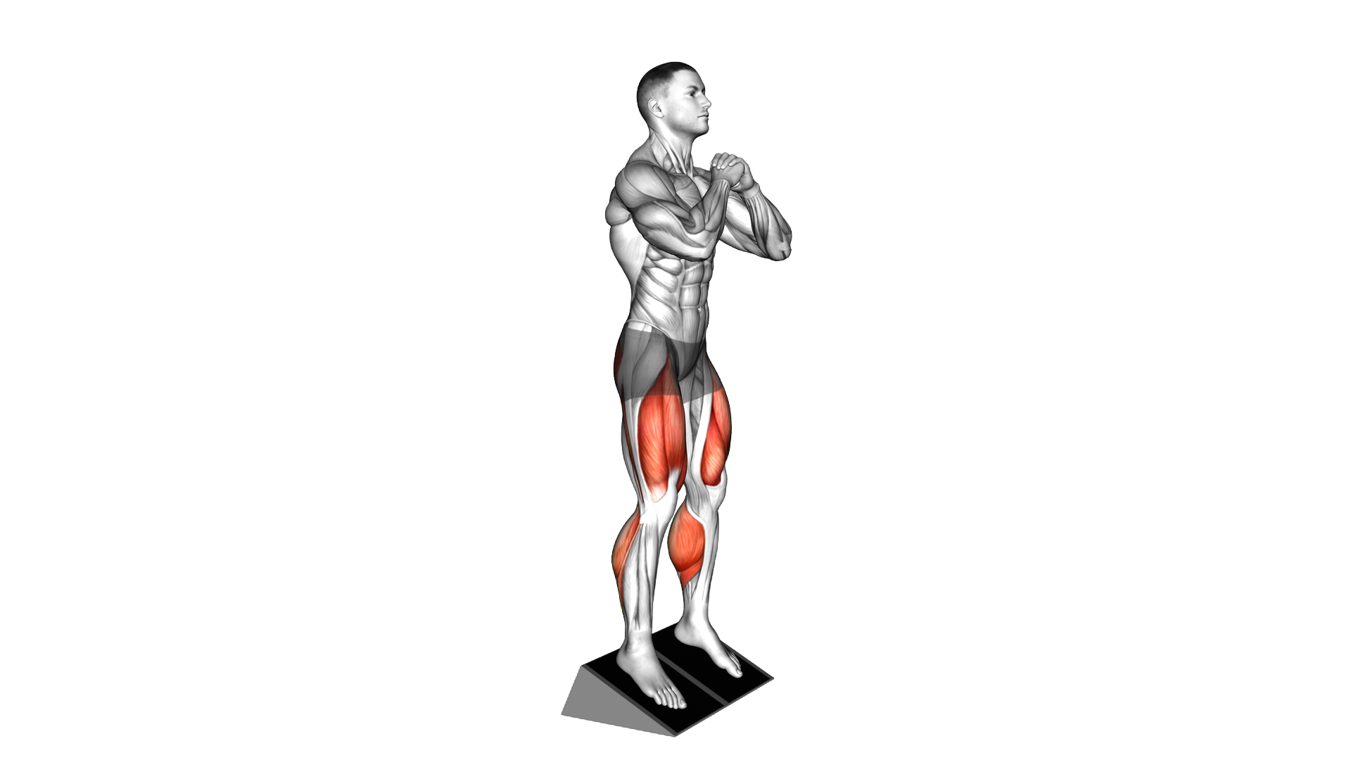 Bodyweight Elevated Heel Front Squat exercise demonstration