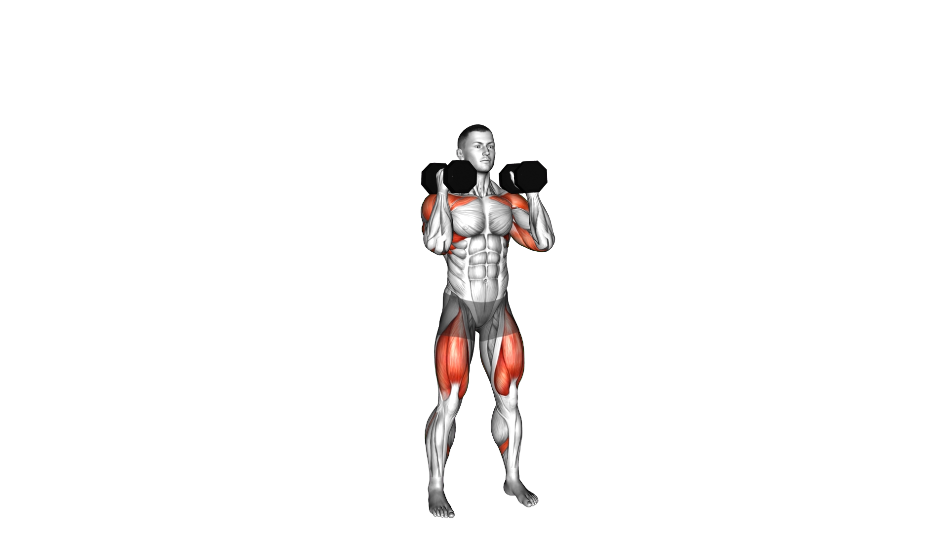 Dumbbell Alternating Arm Thruster exercise demonstration