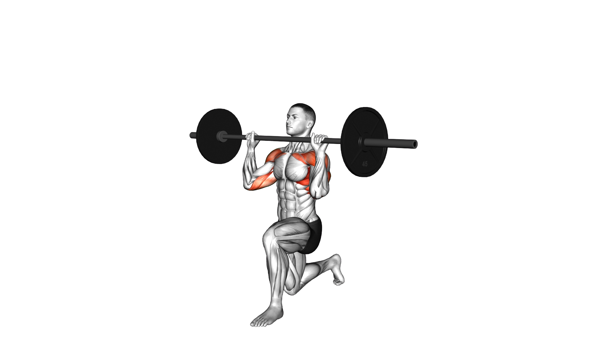 Barbell Half Kneeling Shoulders Press exercise demonstration