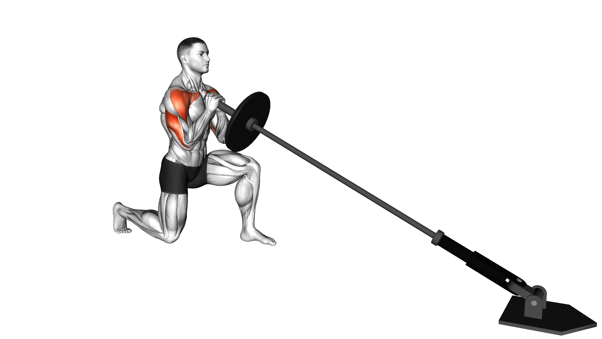 Landmine Half Kneeling Shoulders Press exercise demonstration