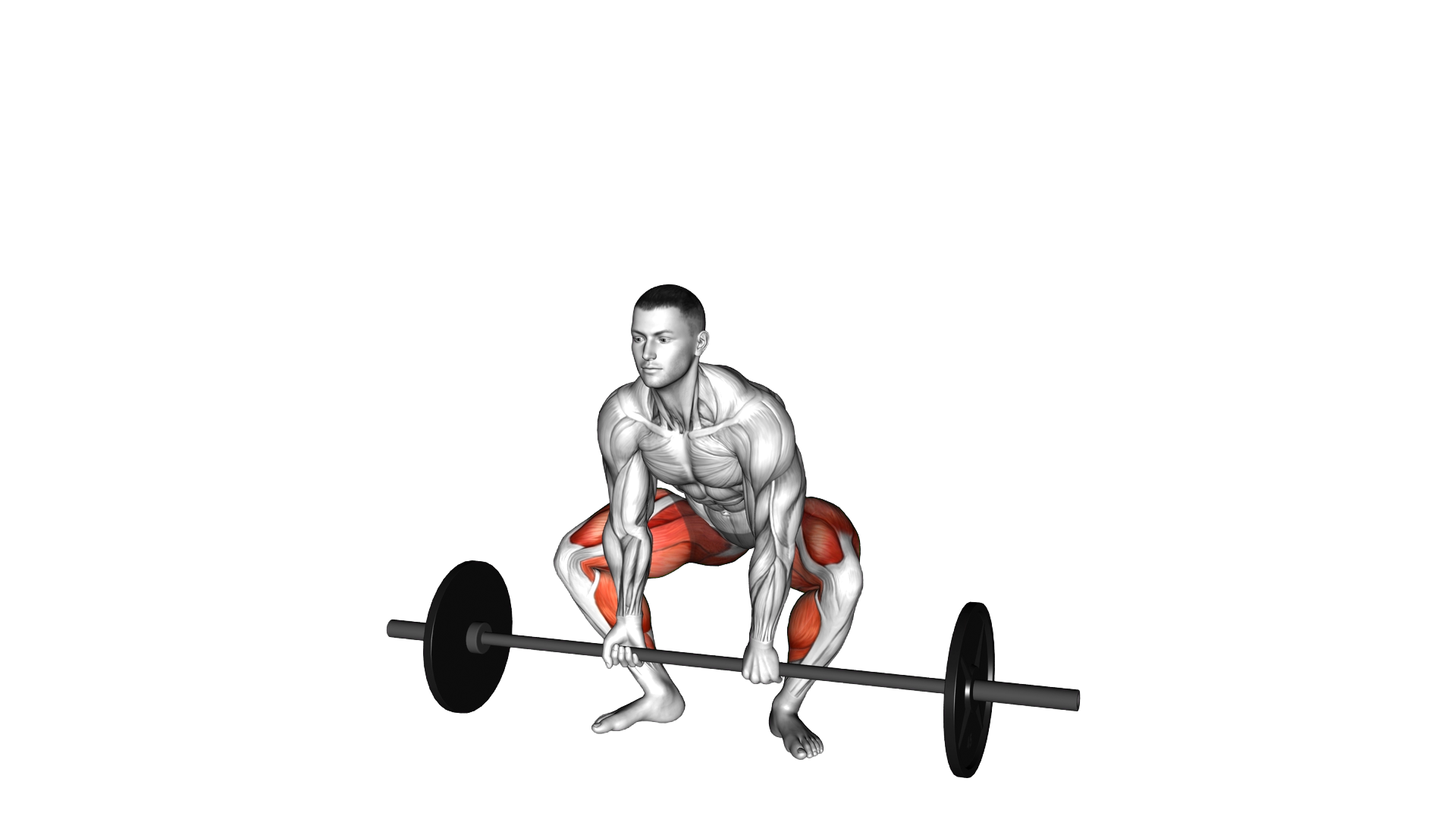 Barbell Frog Stance Deadlift exercise demonstration