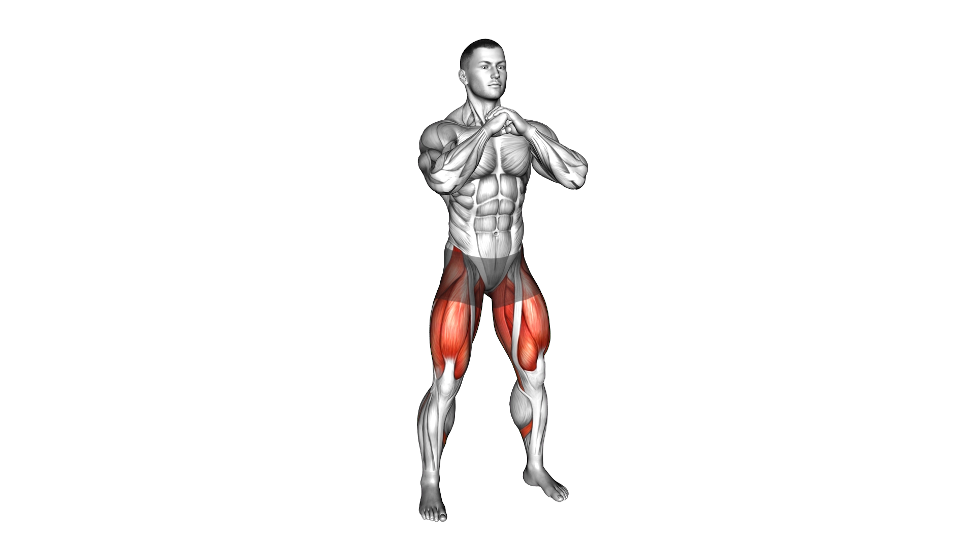 Bodyweight Pulse Goblet Squat exercise demonstration