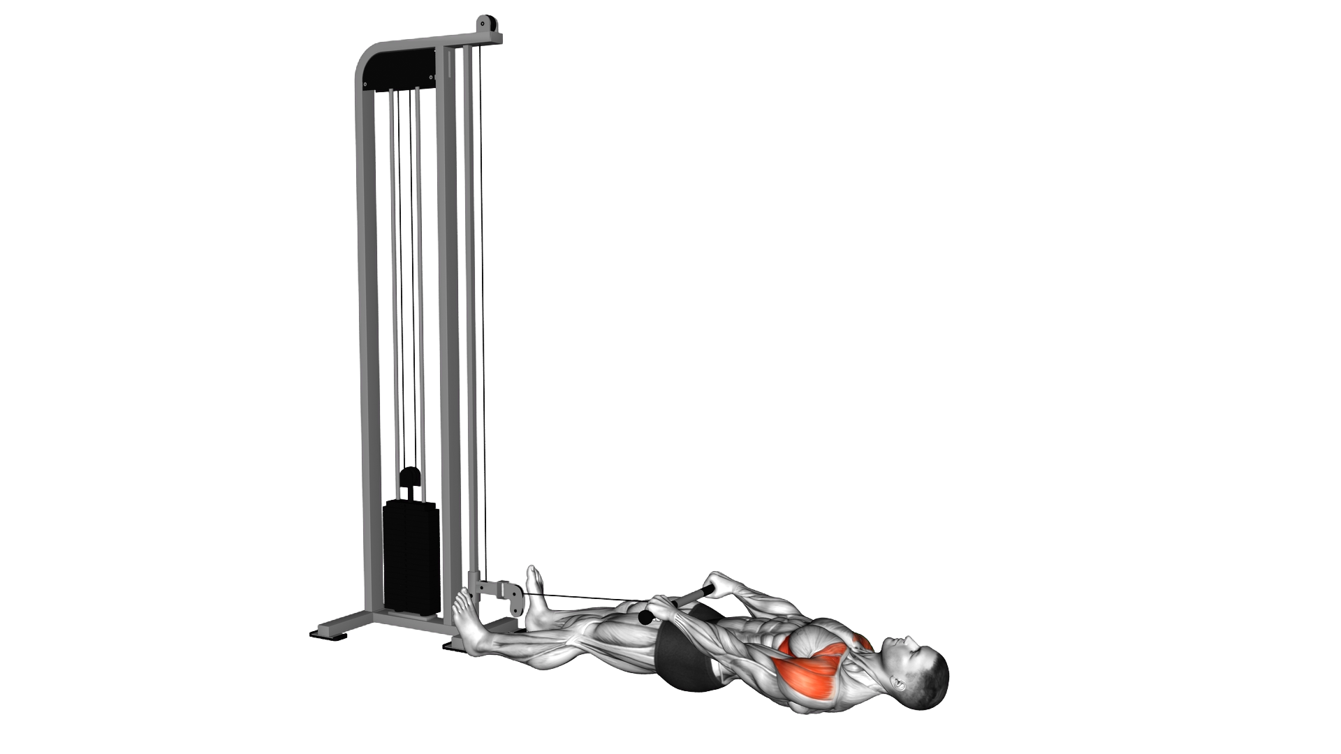 Cable Lying Floor Front Raise exercise demonstration
