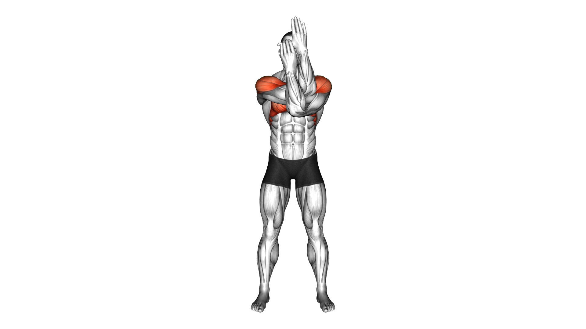 Standing Switching Vertical Stacked Hand exercise demonstration