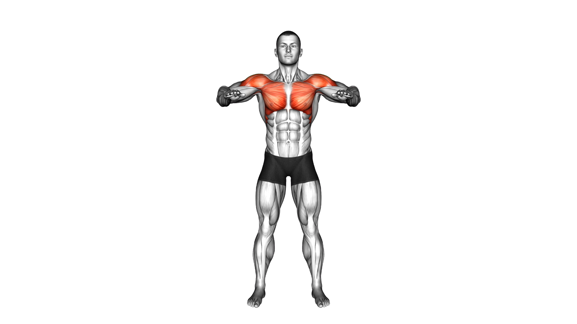 Standing Chest Cross Stretch exercise demonstration