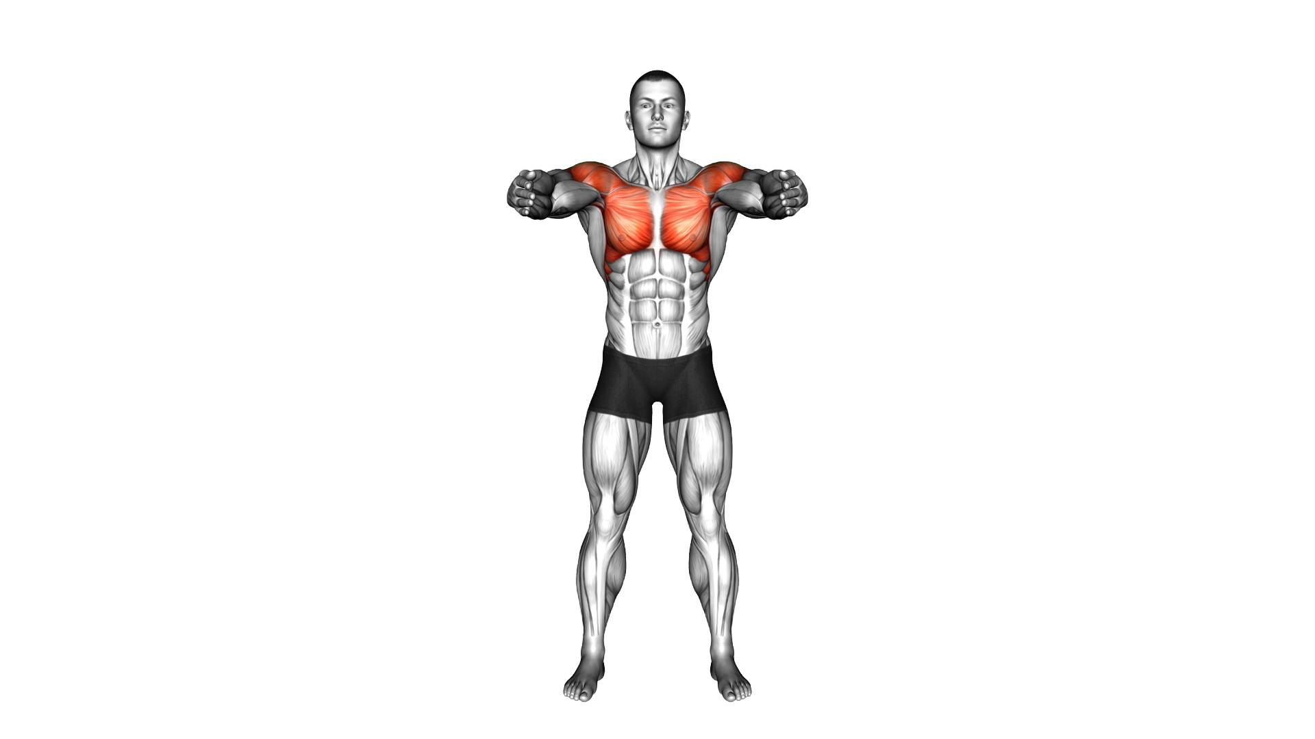 Standing Triple Arm Cross exercise demonstration