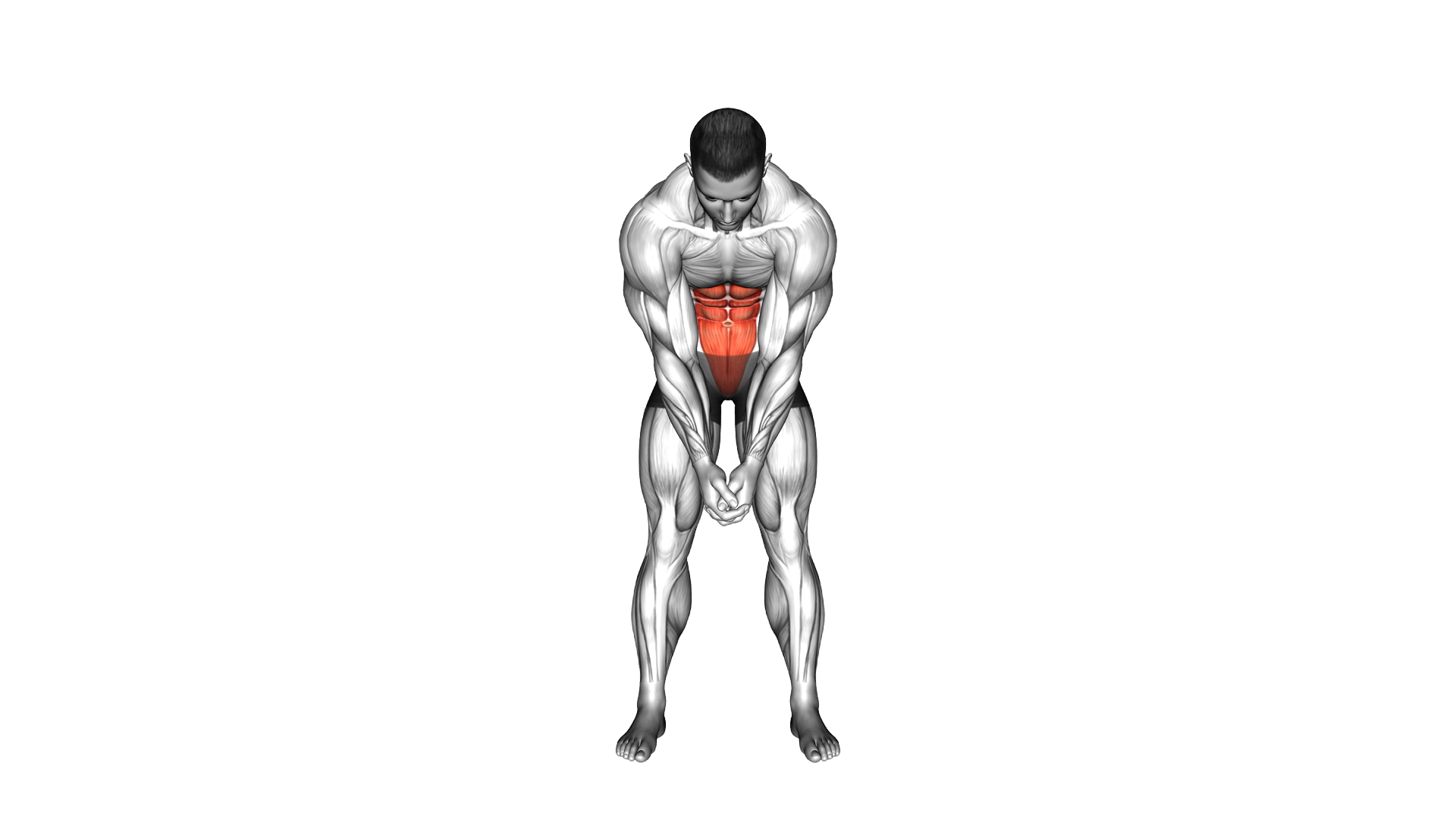 Standing Clasp Hands Shoulders Forward Swing exercise demonstration