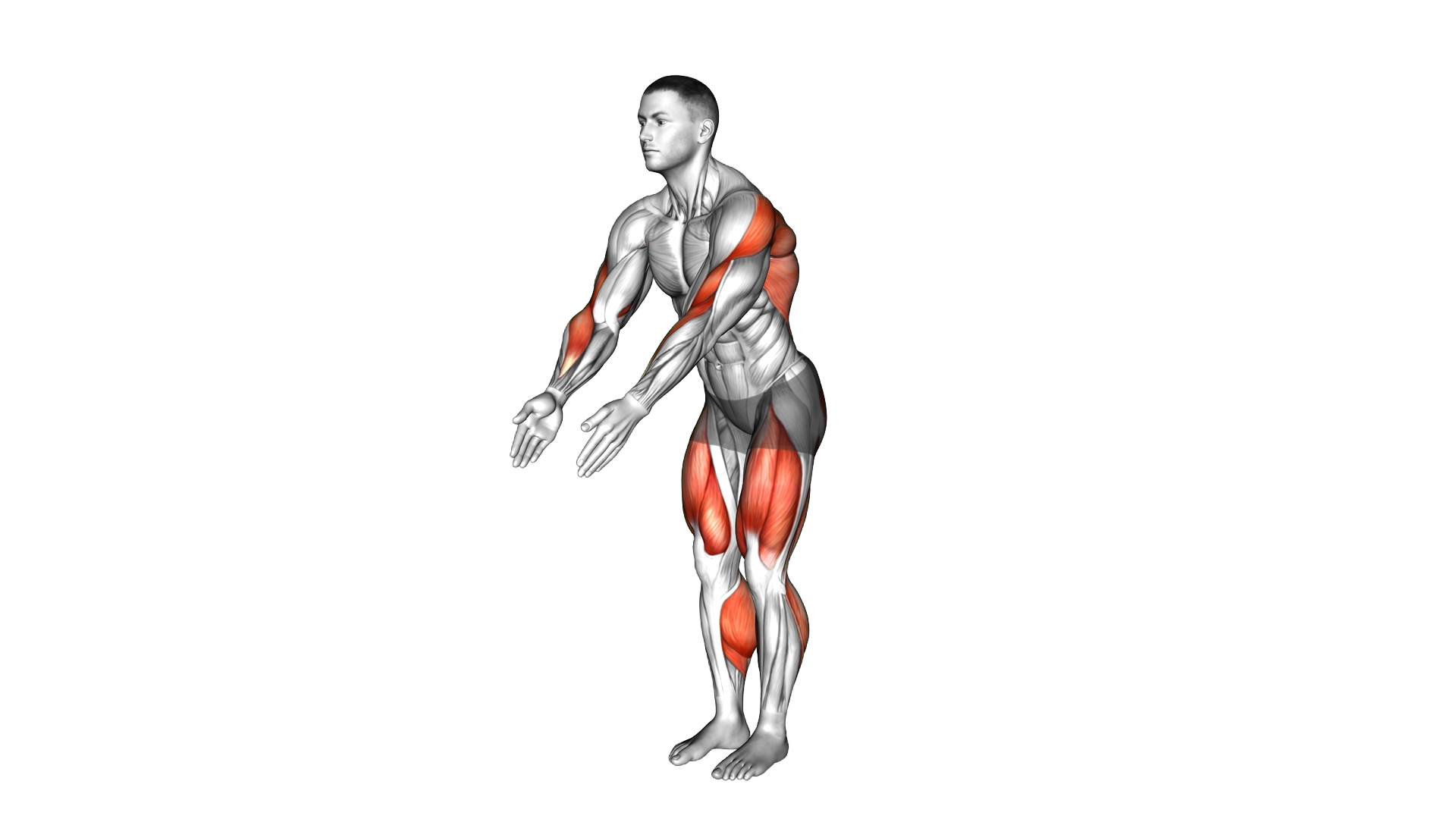 Stepback Row exercise demonstration