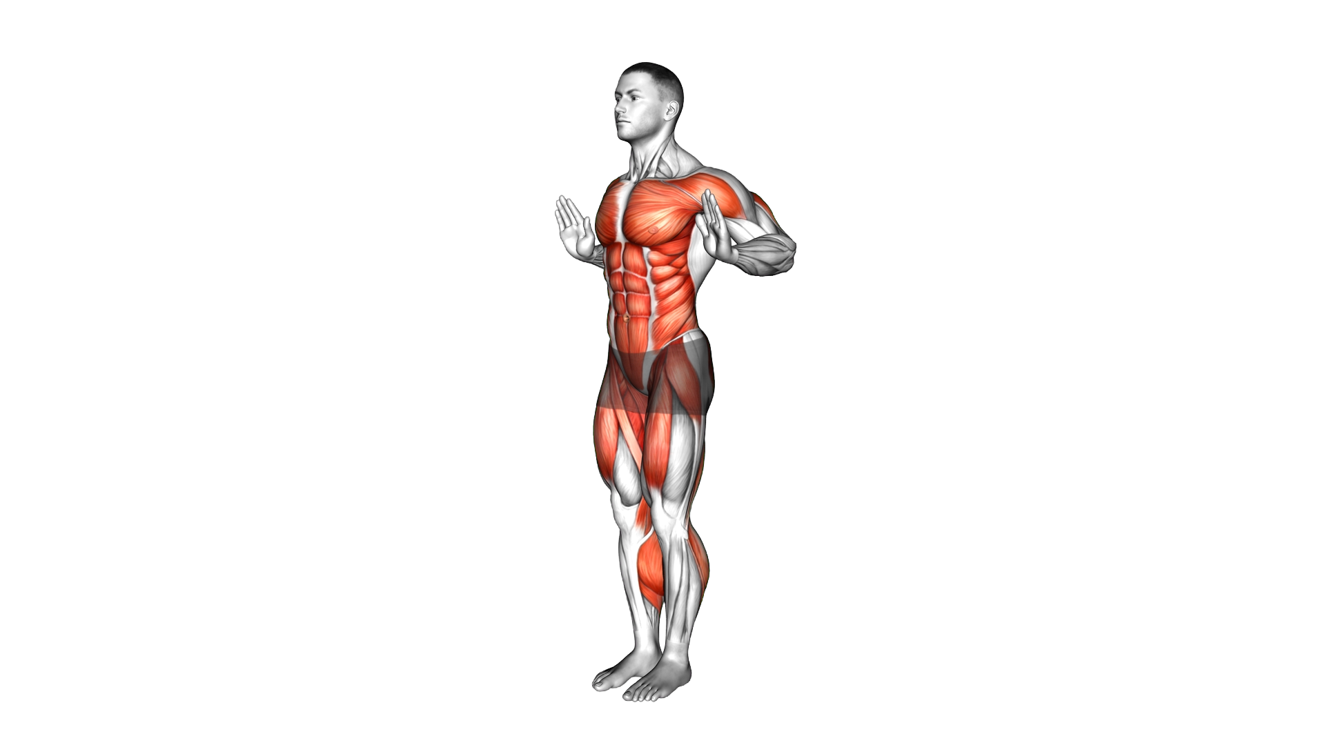 Standing Chest Push Hip Extension Kickback exercise demonstration