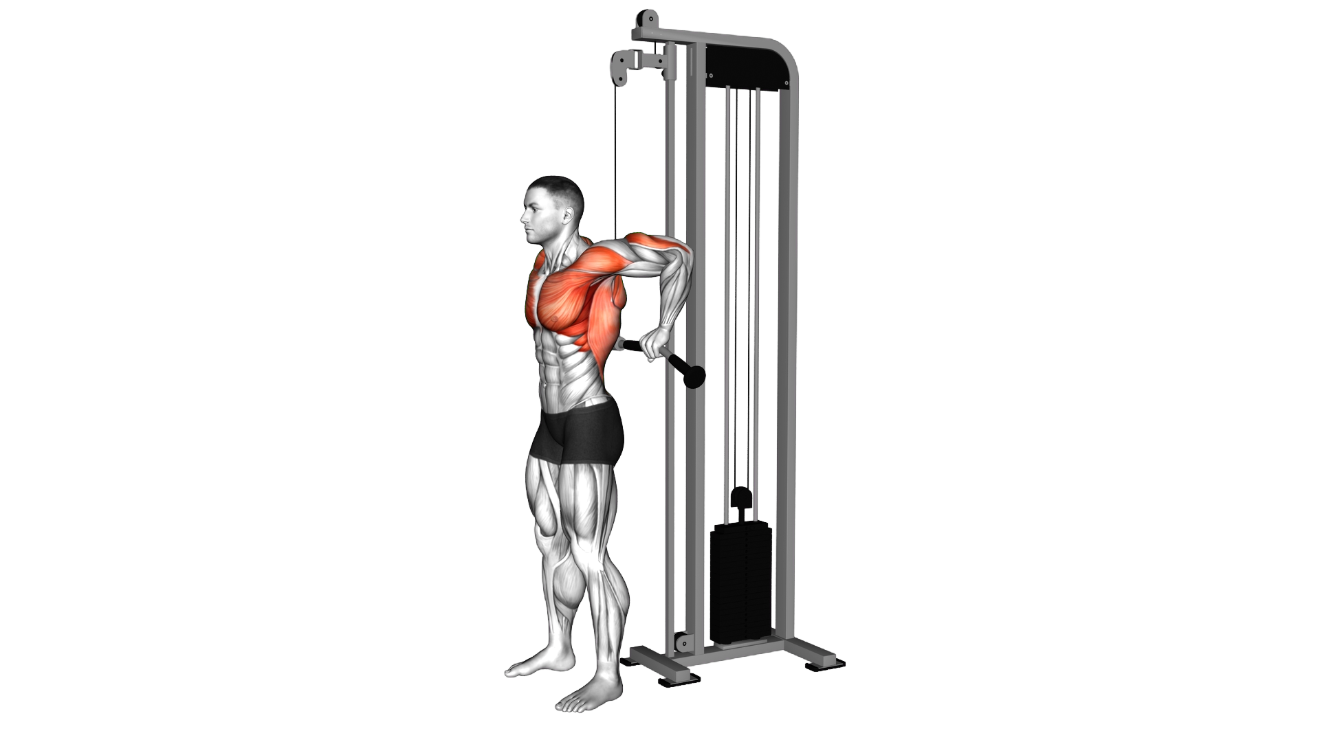 Cable Behind The Back Tricep Dip exercise thumbnail