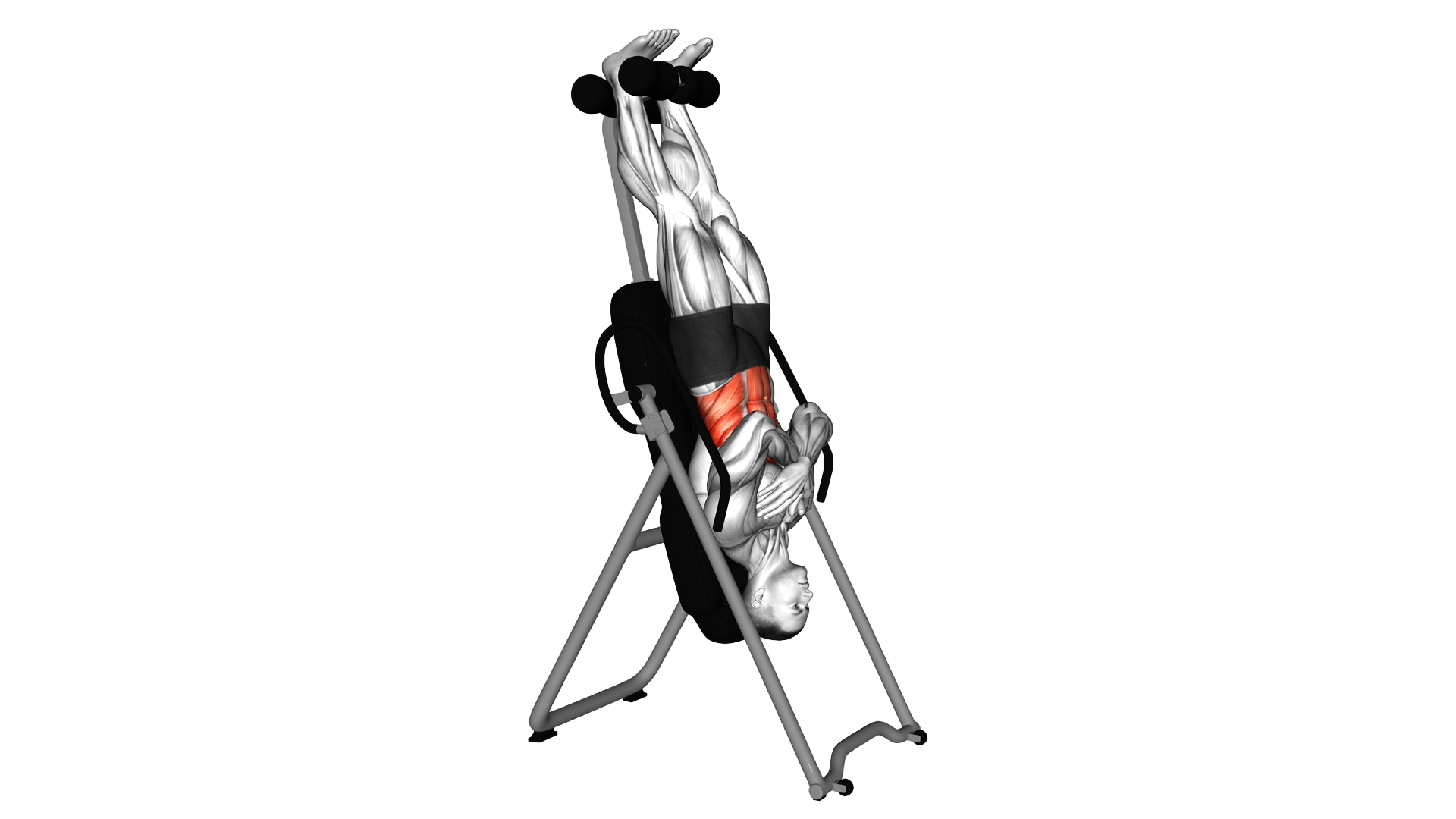 Inversion Bench Crunch exercise demonstration