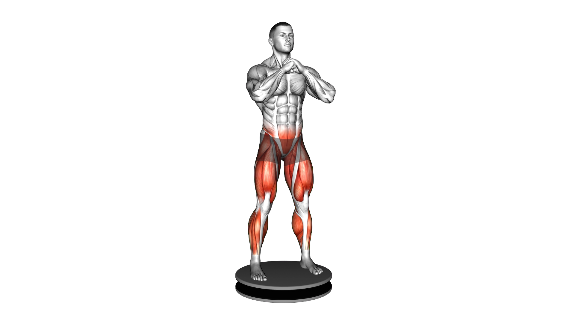 Balance Disk Squat exercise demonstration