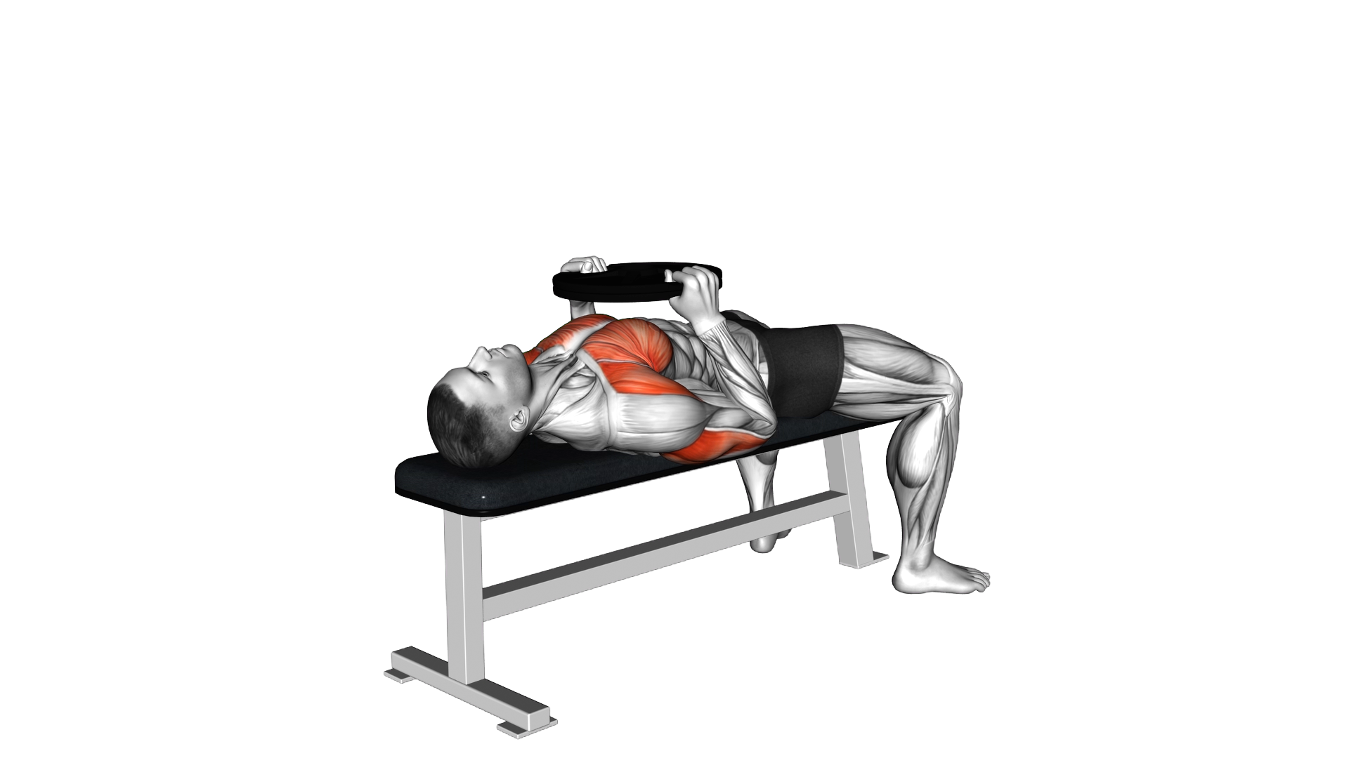 Weighted Plate Bench Press exercise demonstration