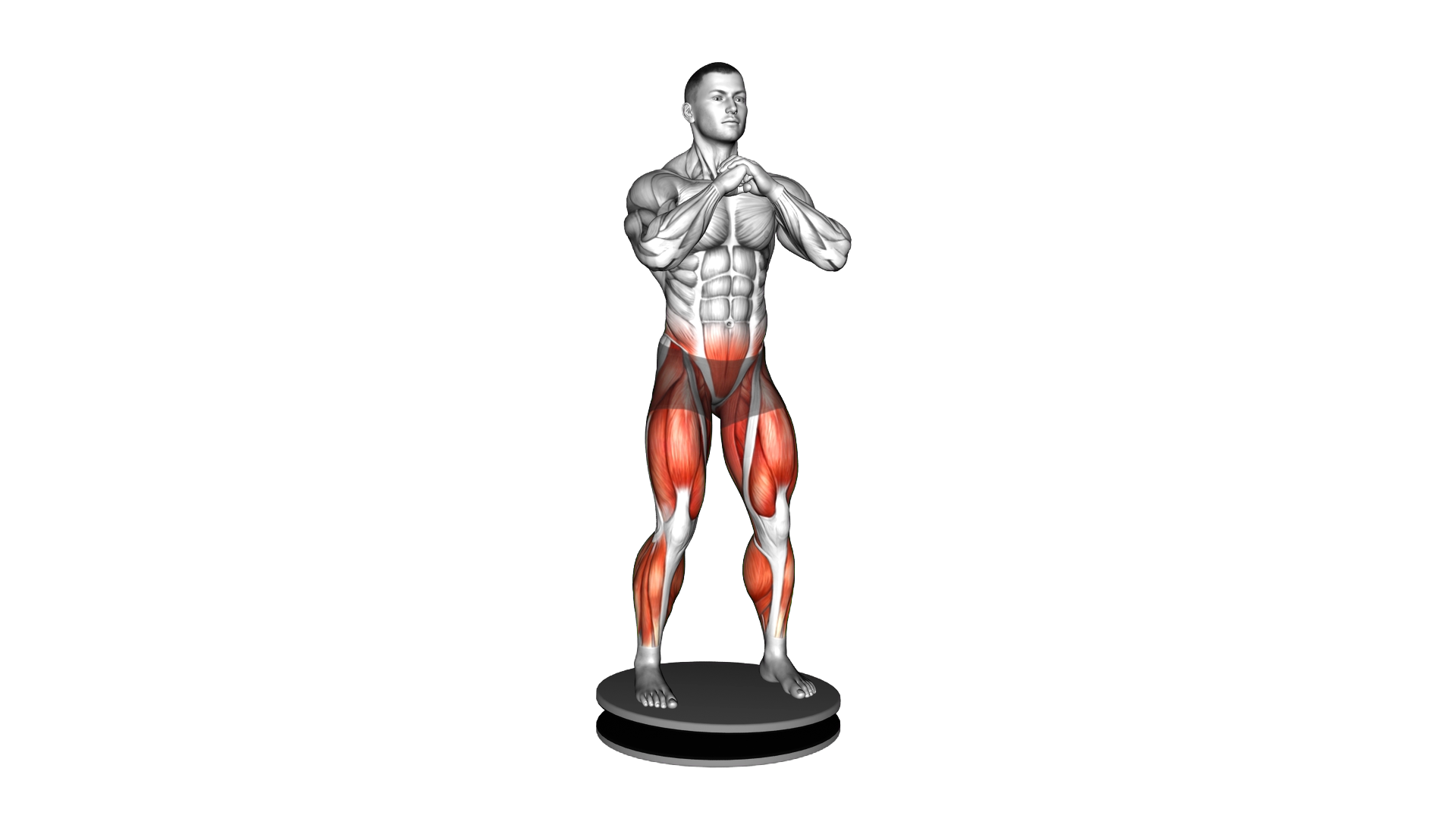 Balance Disk Standing exercise demonstration