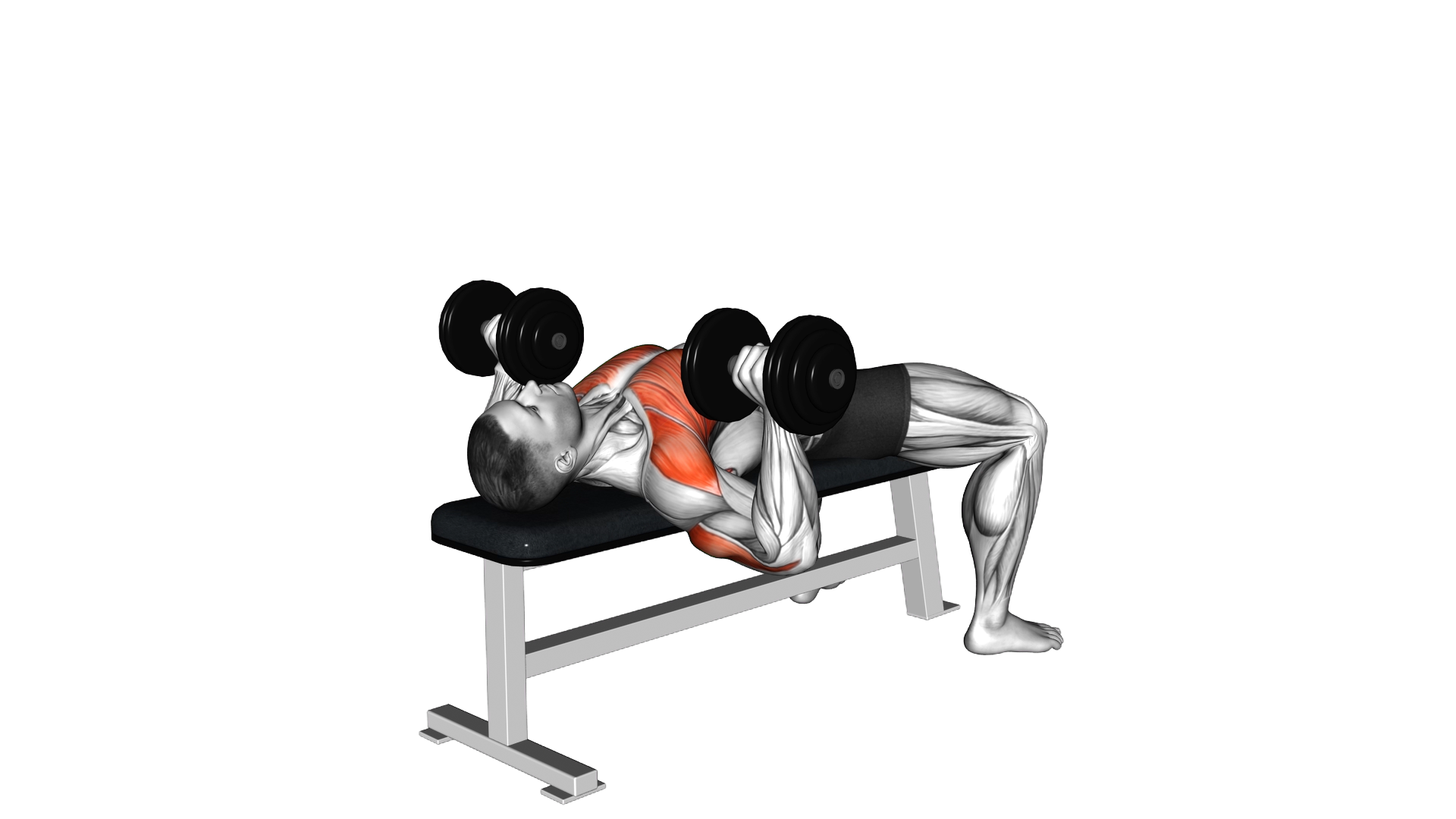 Dumbbell Variable Press exercise demonstration