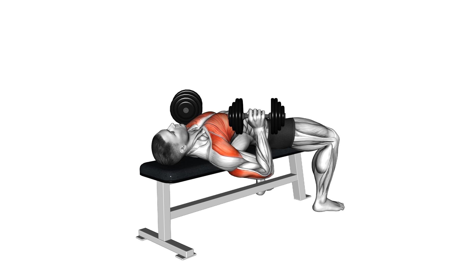 Dumbbell 45 degrees Press exercise demonstration