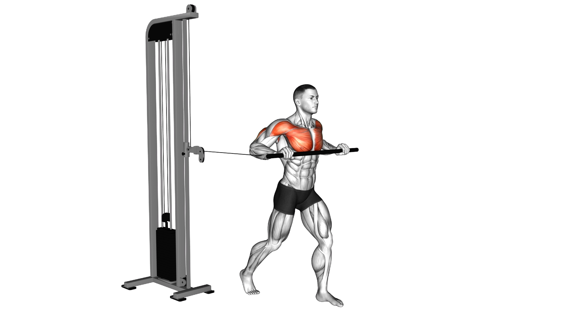 Cable Standing Contralateral Chest Press exercise demonstration