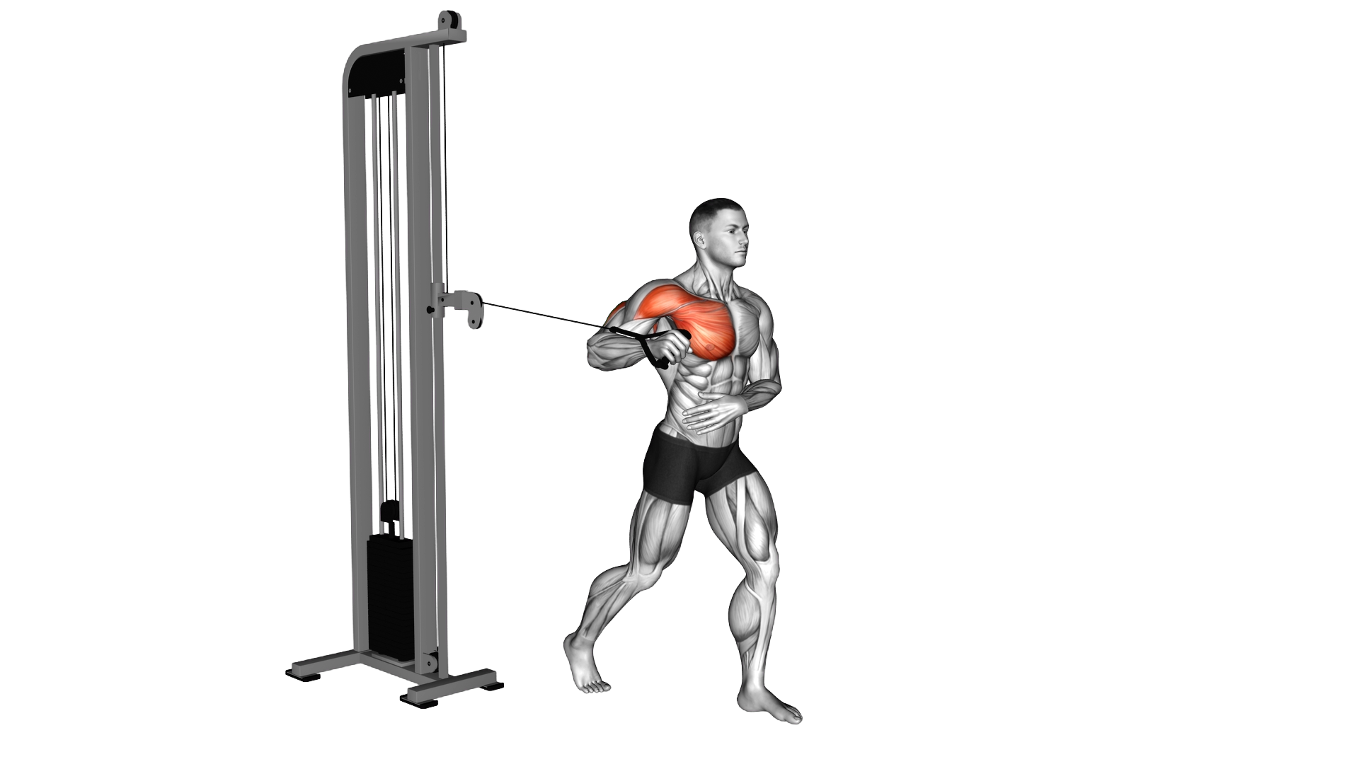 Cable Standing Single Arm Chest Press exercise demonstration