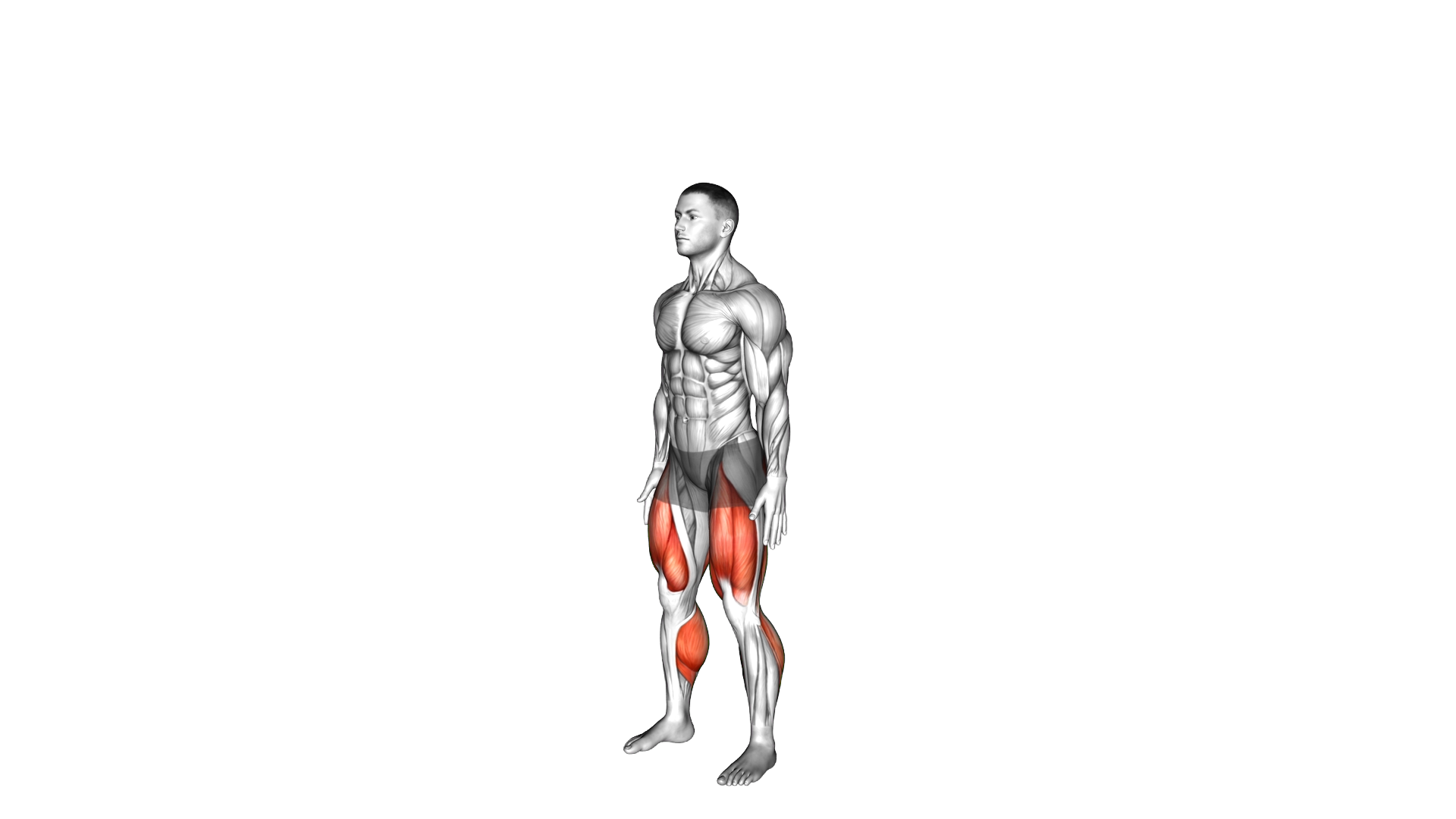 Forward Fold Squat Mobilization exercise demonstration