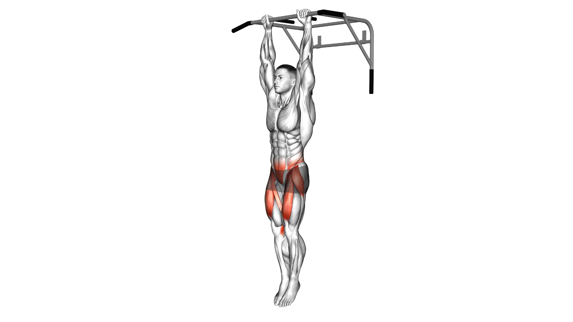 Hanging Knee Raise exercise demonstration